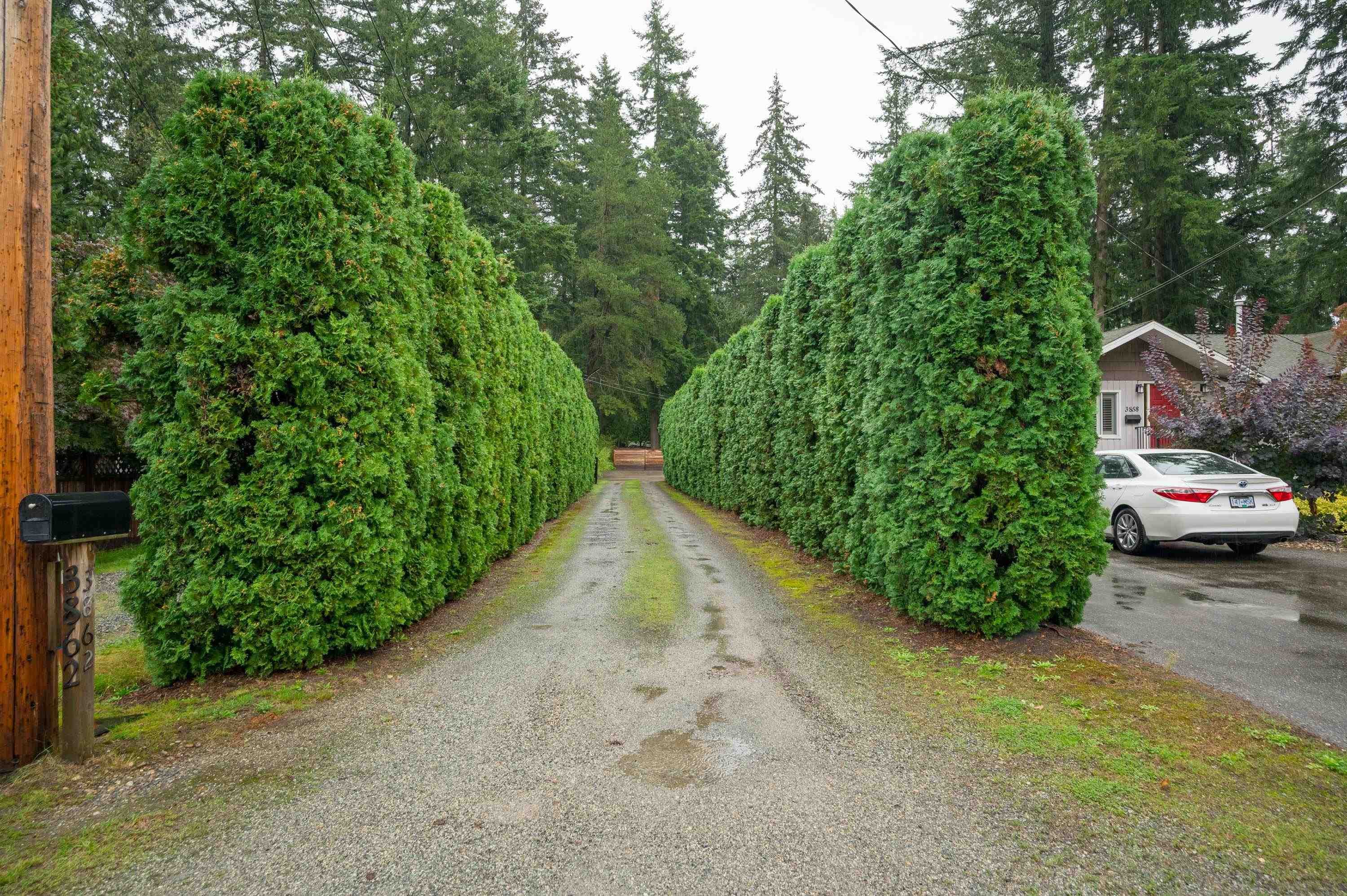 3862 204 Street, Langley, V3A 1X4 — photo 5