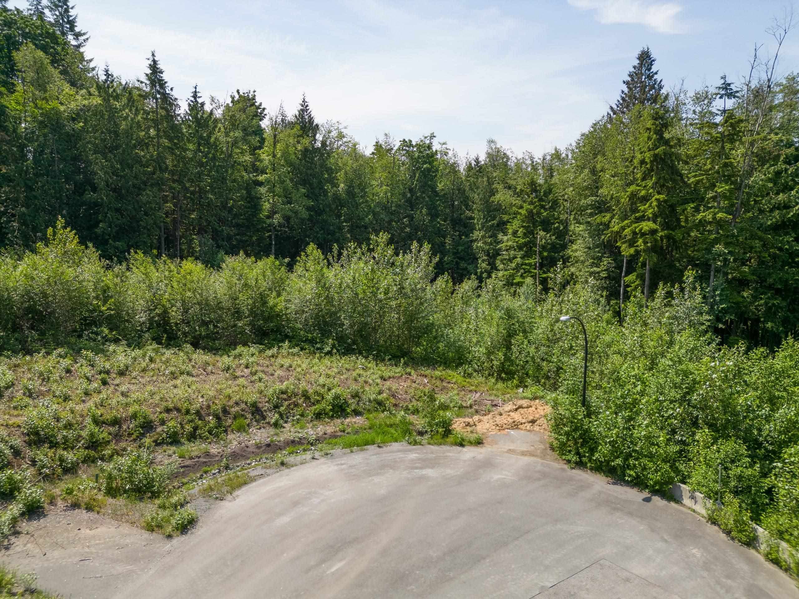 27018 124b Avenue, Maple Ridge, V2W 1C2 — photo 3