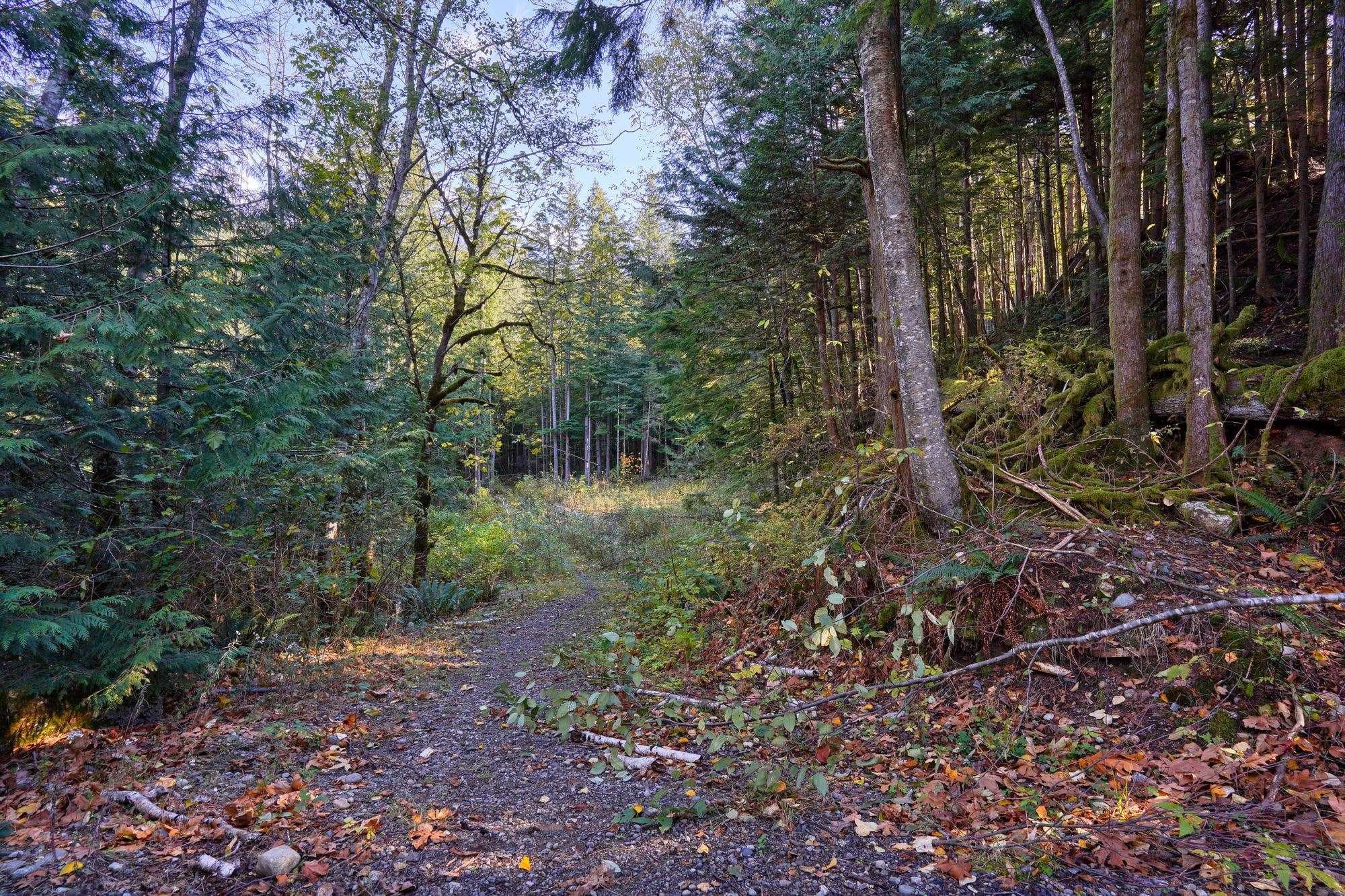 1017 Copper Drive, Britannia Beach, V8B 1J2 — photo 2