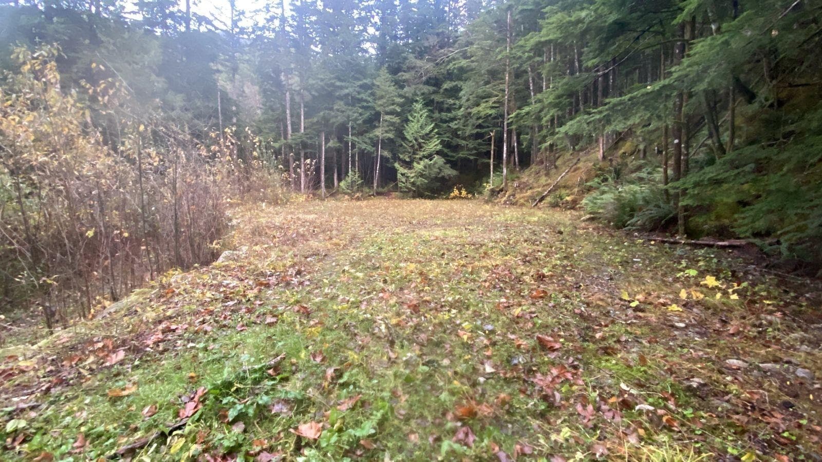 1017 Copper Drive, Britannia Beach, V8B 1J2 — photo 3