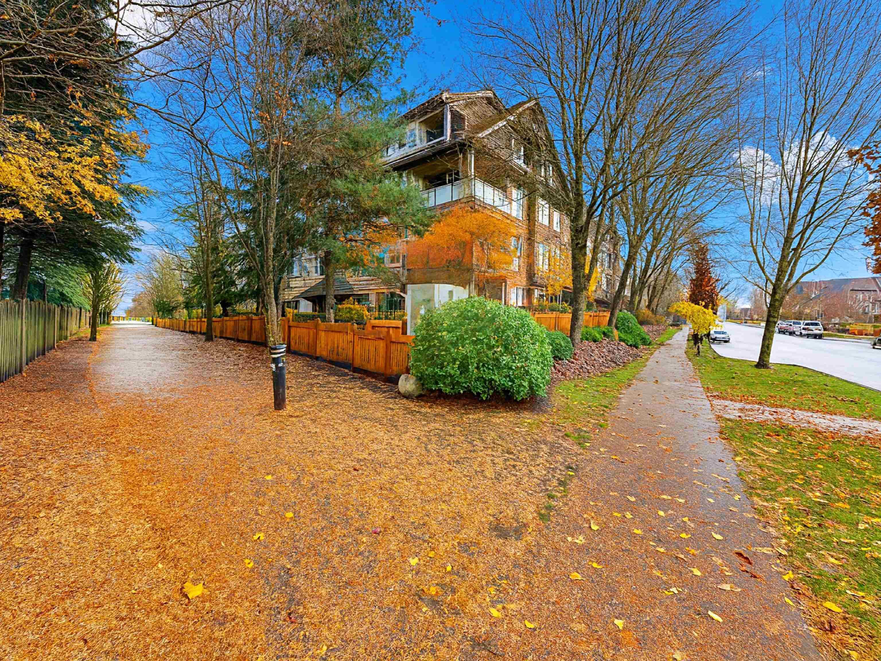 208 - 250 Salter Street, New Westminster, V3M 0B7 — photo 3
