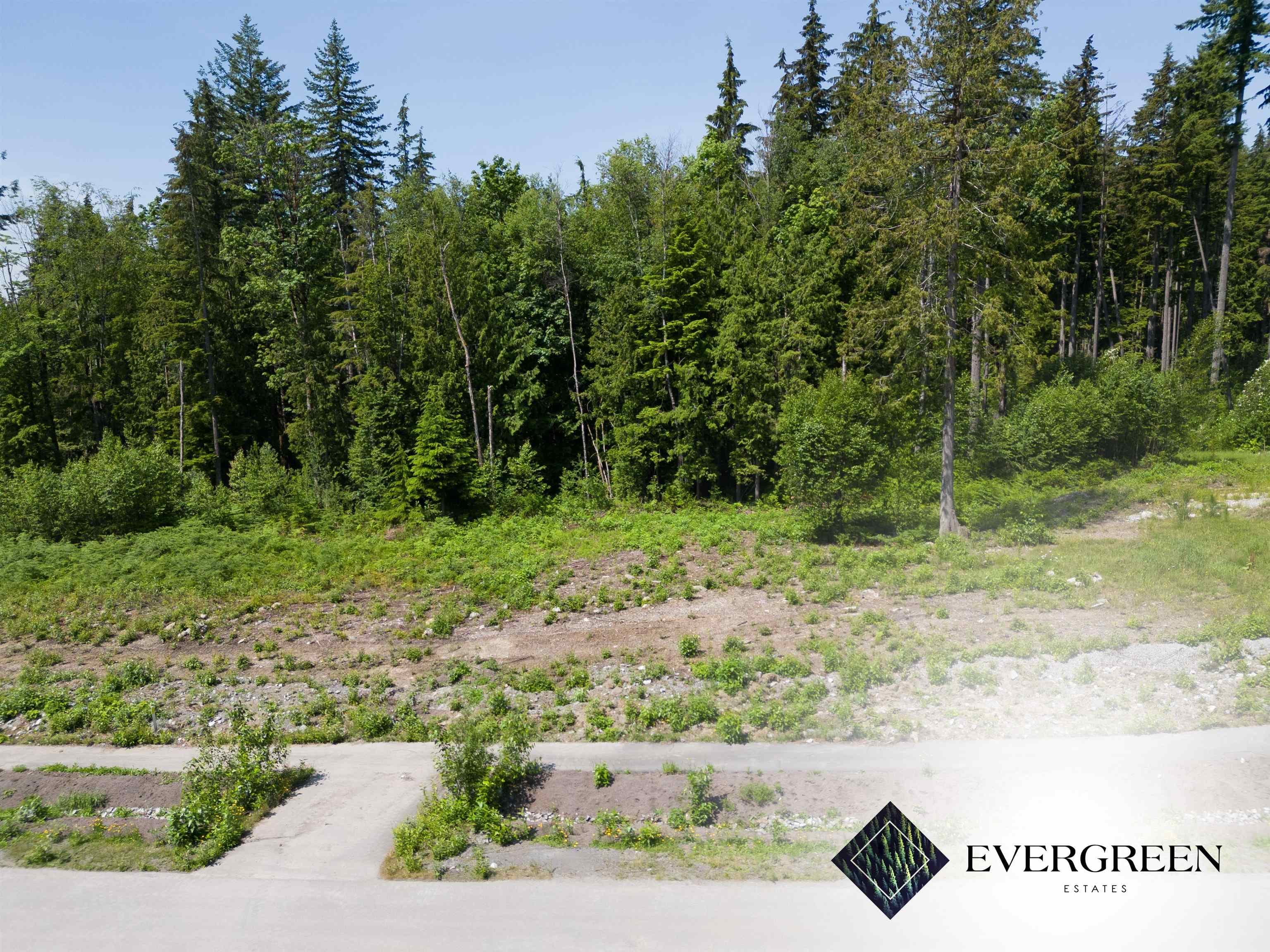 12535 271 Street, Maple Ridge, V2W 1C2 — photo 3