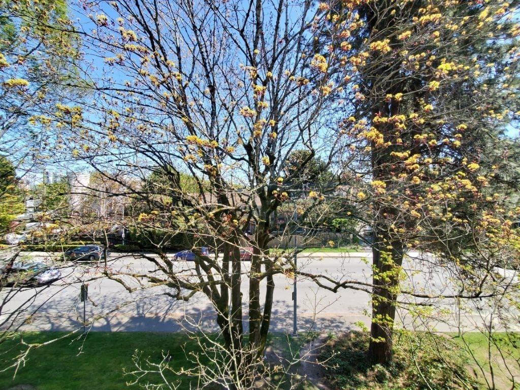 2F - 7411 Minoru Boulevard, Richmond, V6Y 1Z3 — photo 3