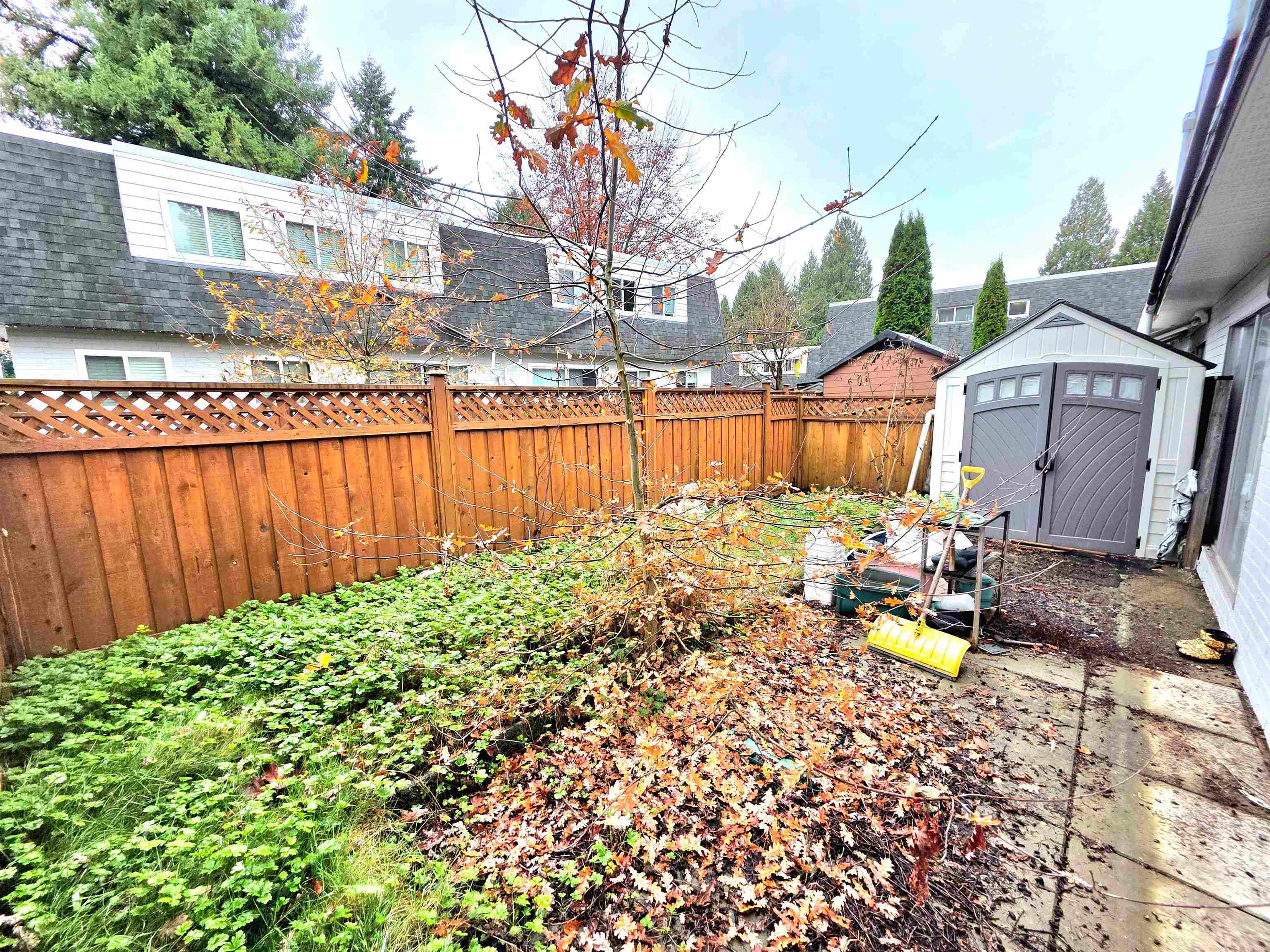 39 - 21555 Dewdney Trunk Road, Maple Ridge, V2X 3G6 — photo 3