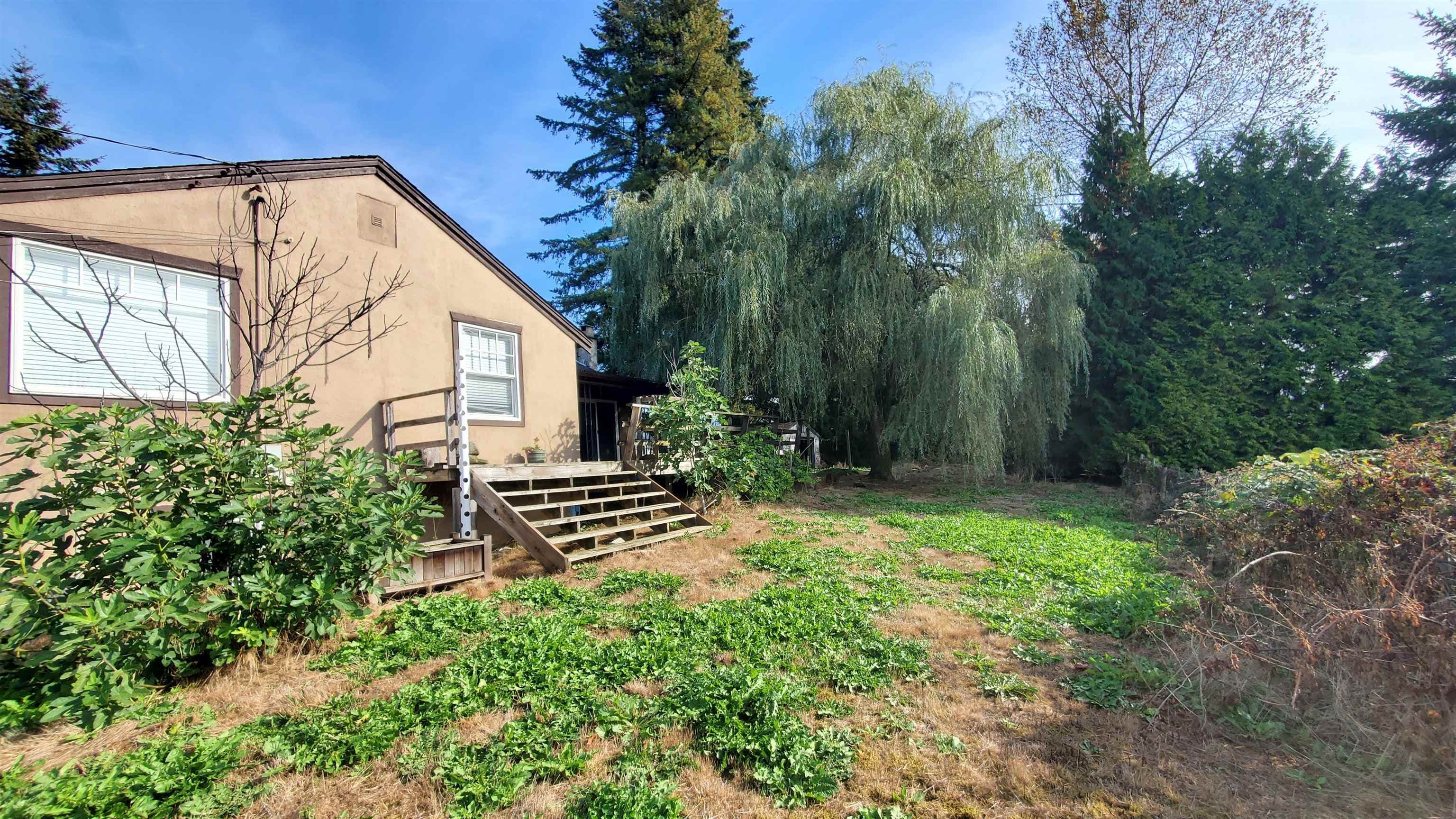 8042 Cedar Street, Mission, V2V 3N1 — photo 5