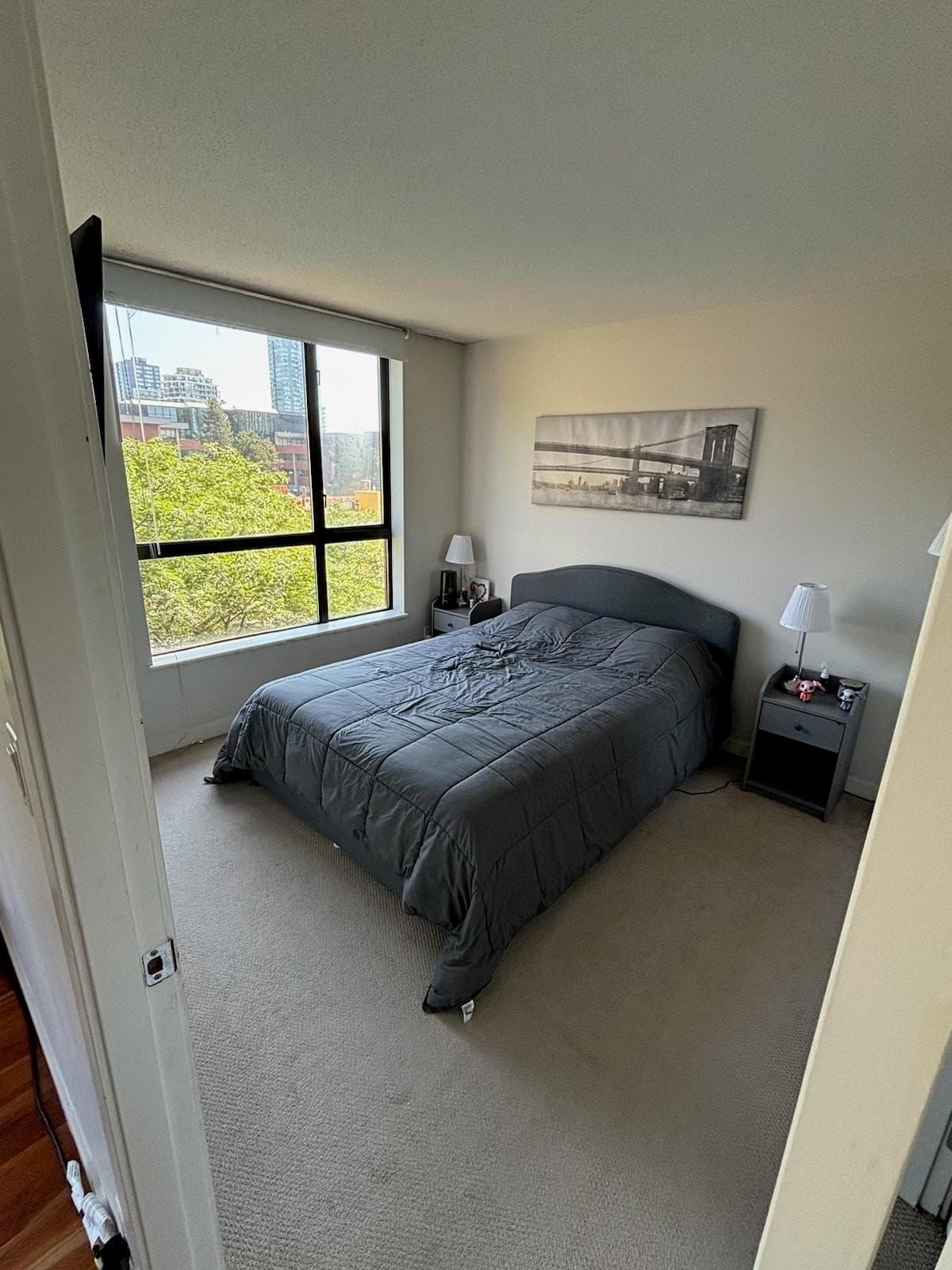 307 - 814 Royal Avenue, New Westminster, V3M 1J9 — photo 4