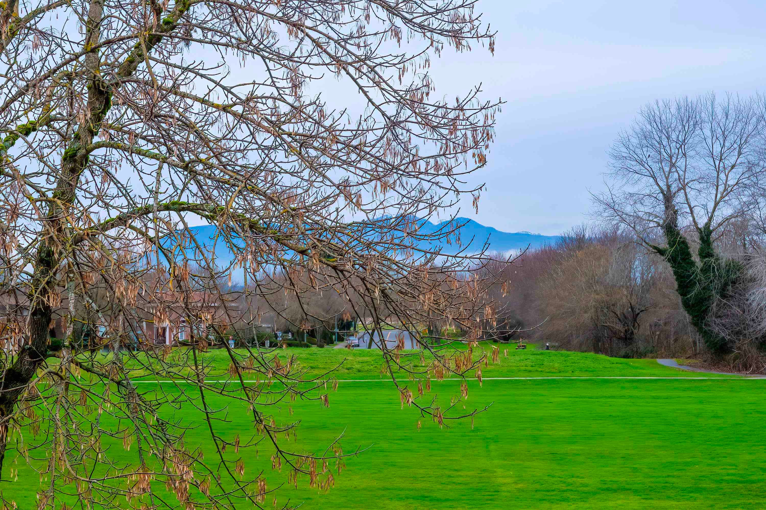 21 - 6000 Barnard Drive, Richmond, V7C 5P7 — photo 1