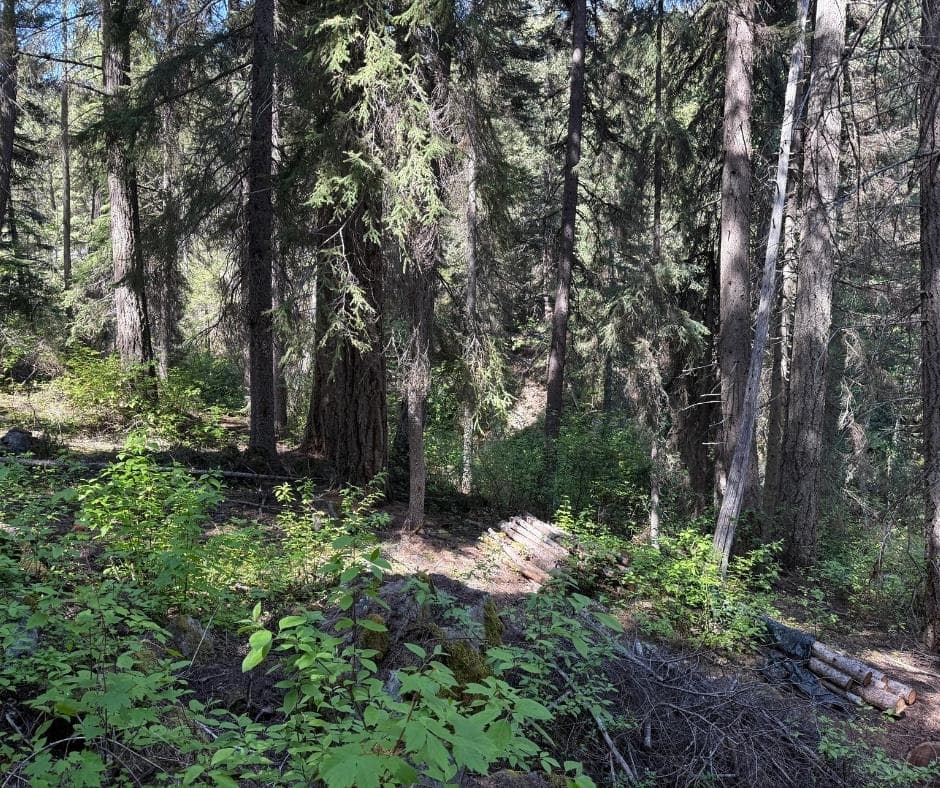 DL 2401 Sucker Lake Road, Birken, V0K 1P0 — photo 3