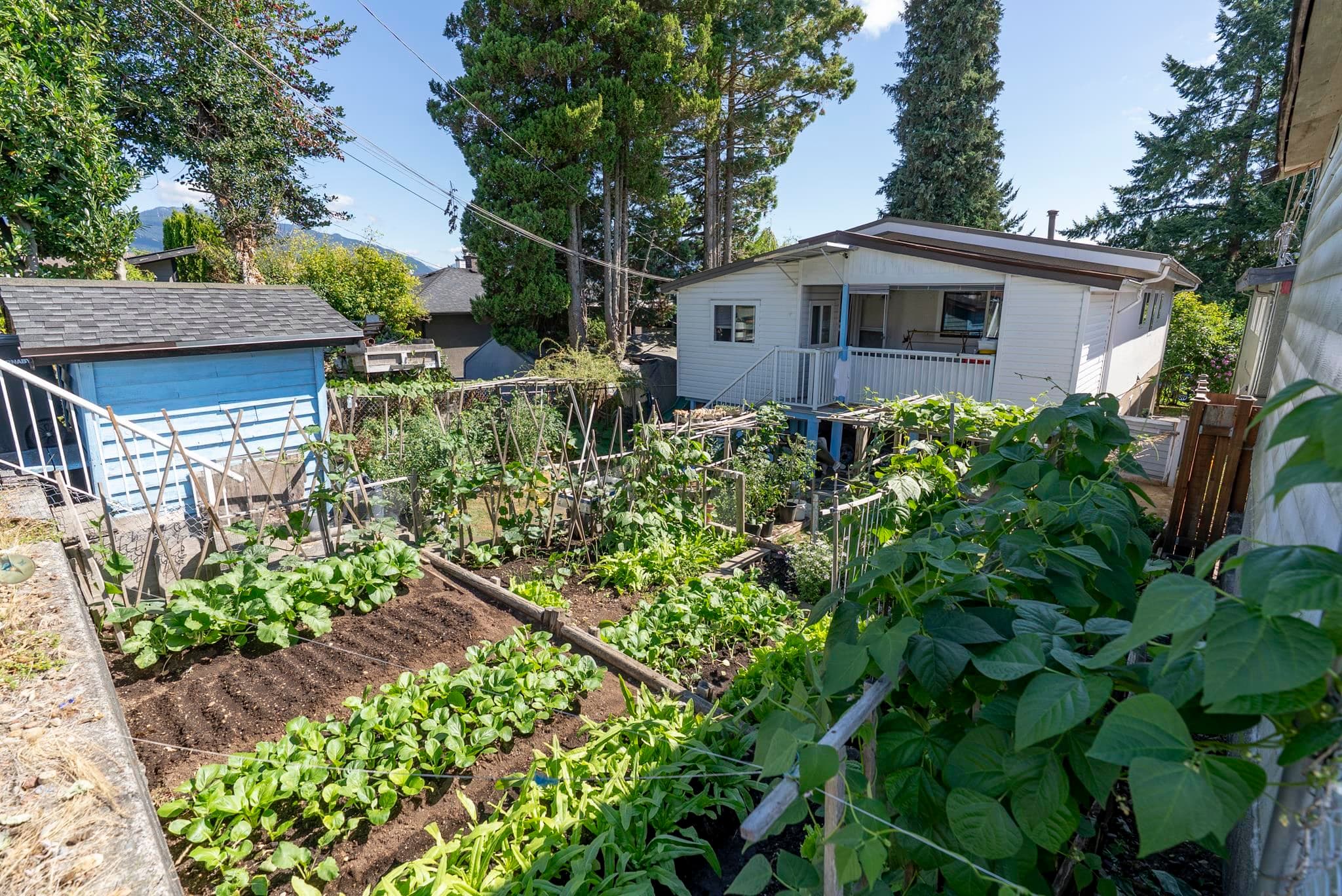 45 N Stratford Avenue, Burnaby, V5B 1L1 — photo 5