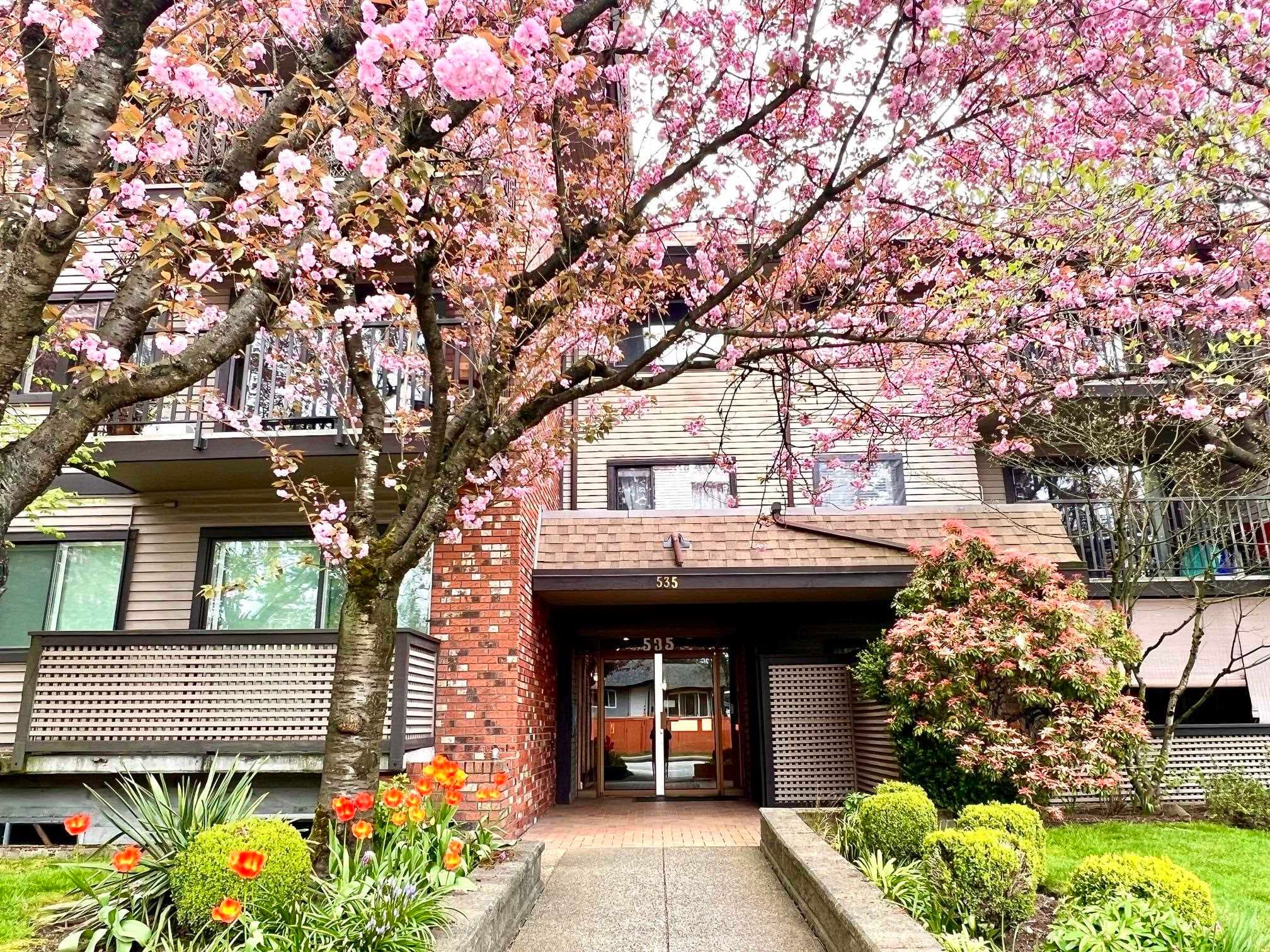 202 - 535 Blue Mountain Street, Coquitlam, V3J 4R2 — photo 2