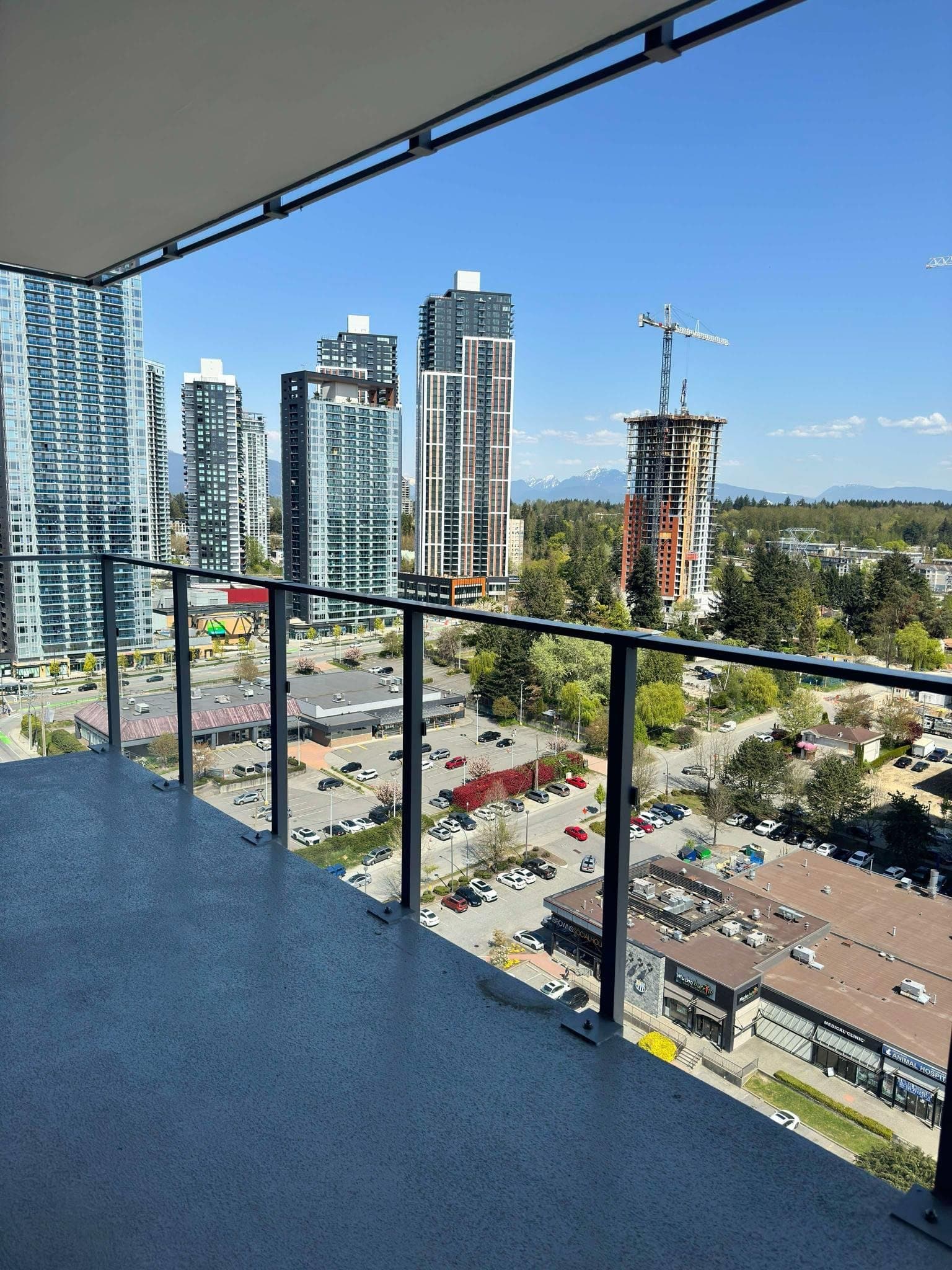 2008 - 9675 King George Boulevard, Surrey, V3T 0T7 — photo 4