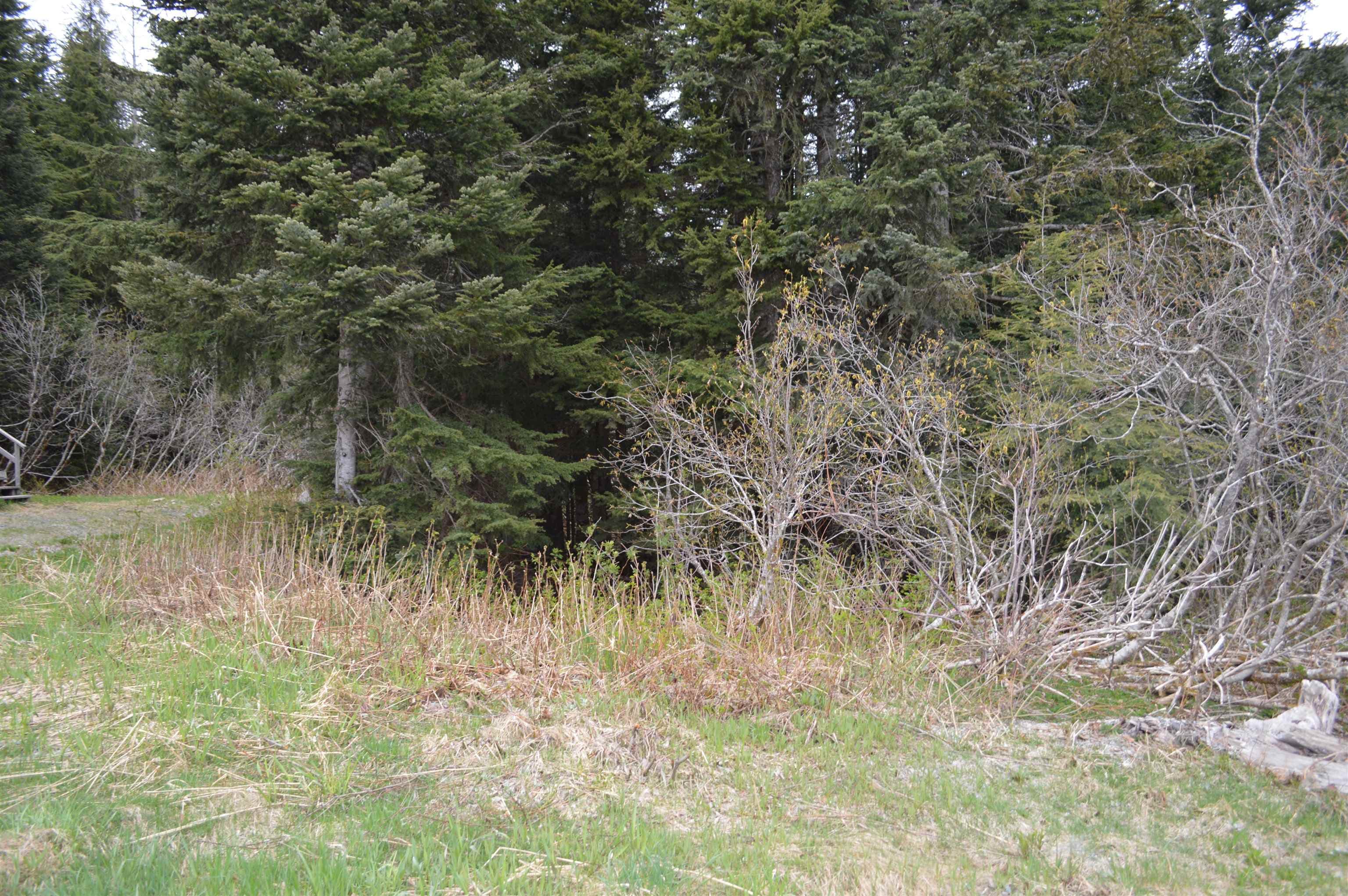 47080 Snowmist Drive, Mission, V0M 1A1 — photo 5