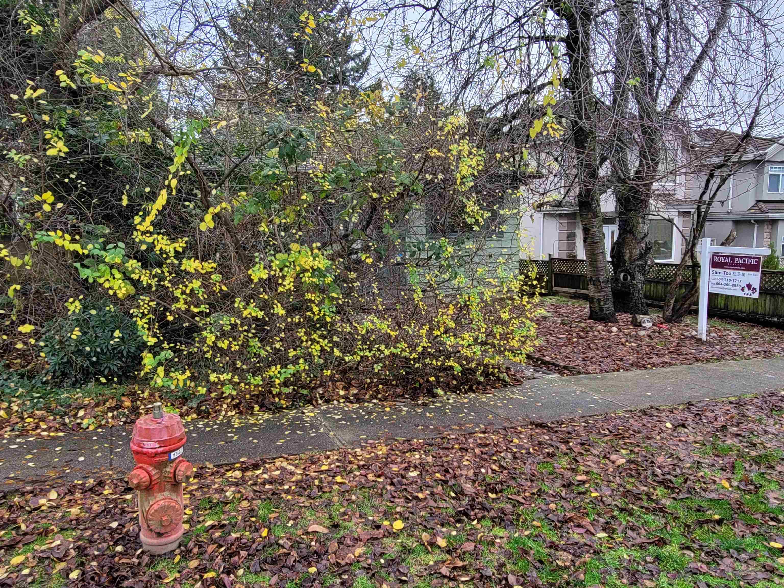 8468 Hudson Street, Vancouver, V6P 4M4 — photo 3