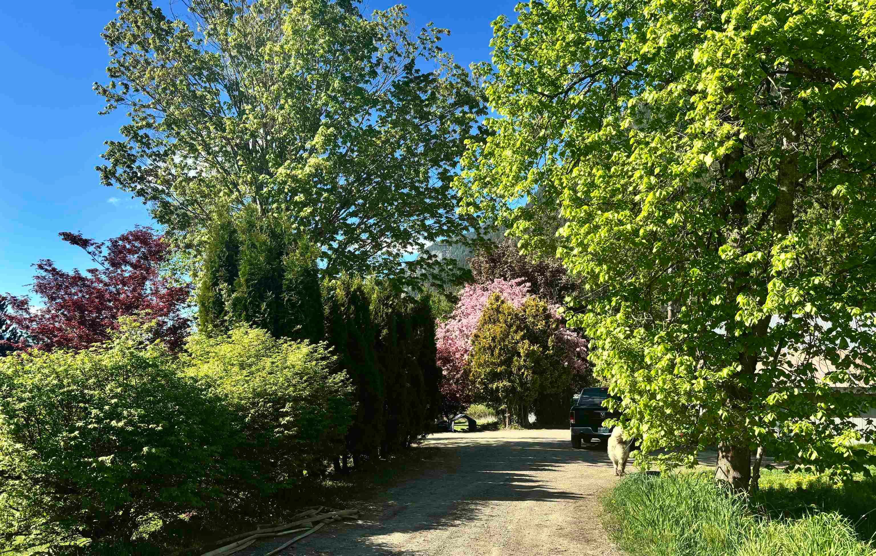 945 Erickson Road, Pemberton, V0N 2L2 — photo 5