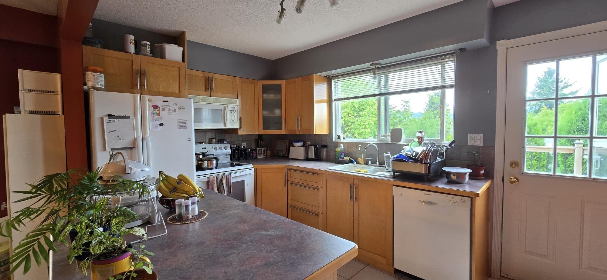 11475 139a Street, Surrey, V6X 3L6 — photo 3