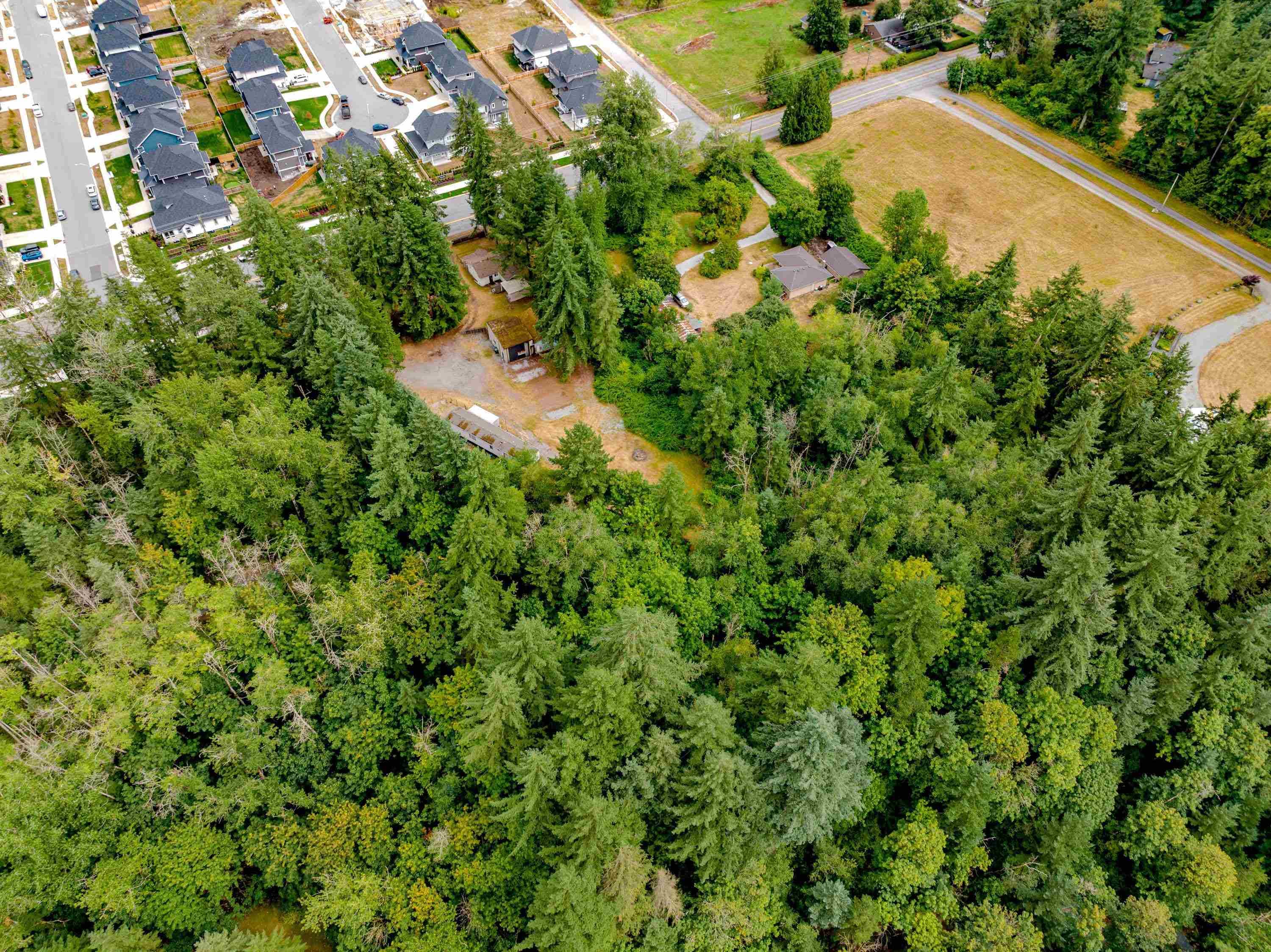 3381 208 Street, Langley, V2Z 2C5 — photo 3