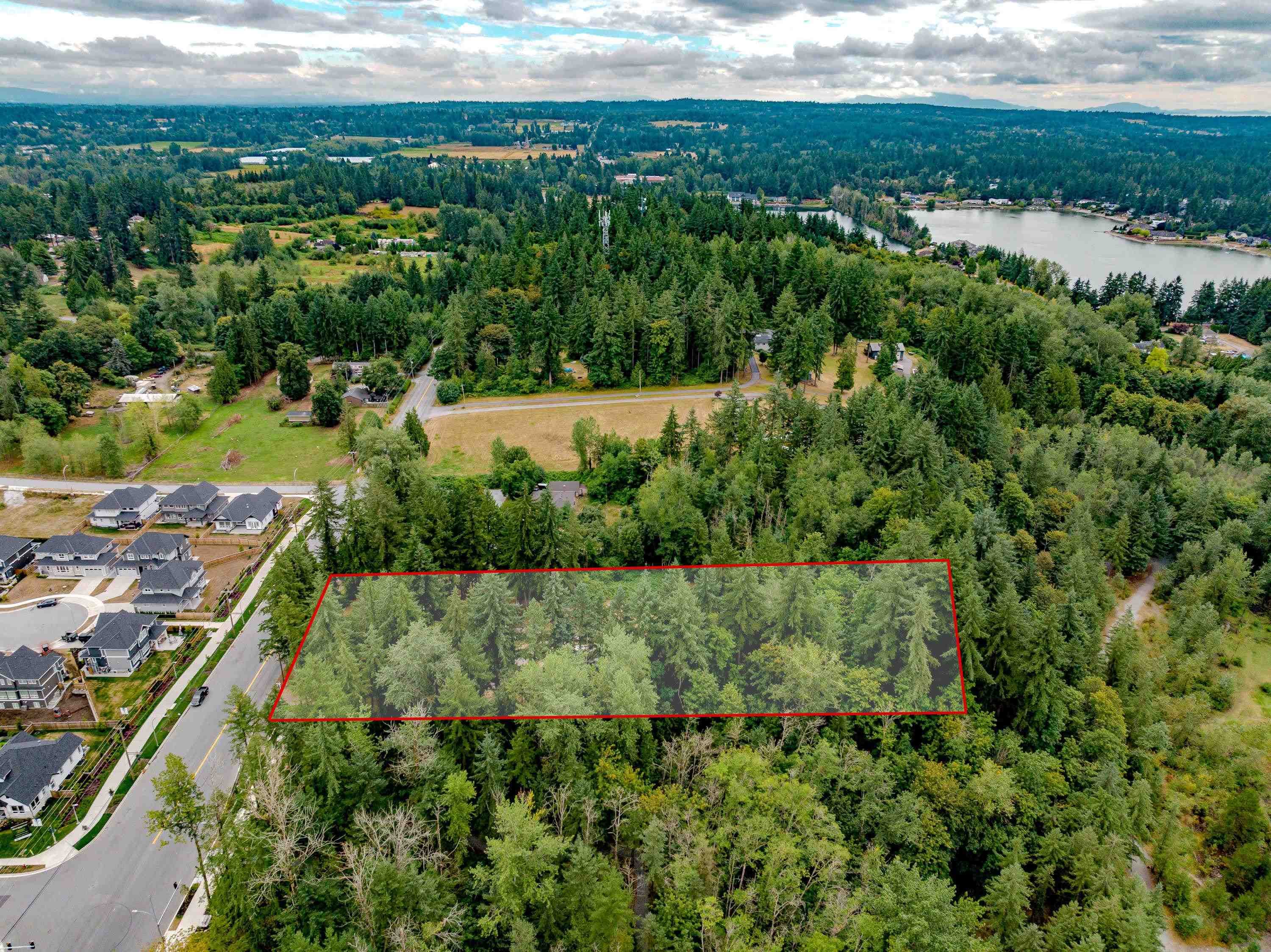 3381 208 Street, Langley, V2Z 2C5 — photo 4