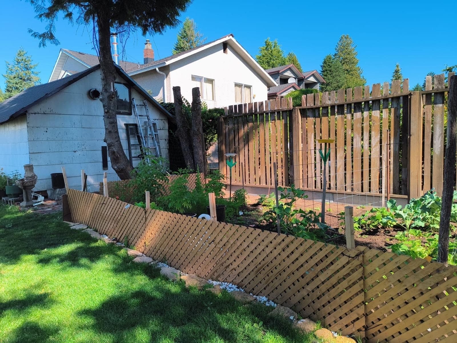 220 Devoy Street, New Westminster, V3L 4E7 — photo 4