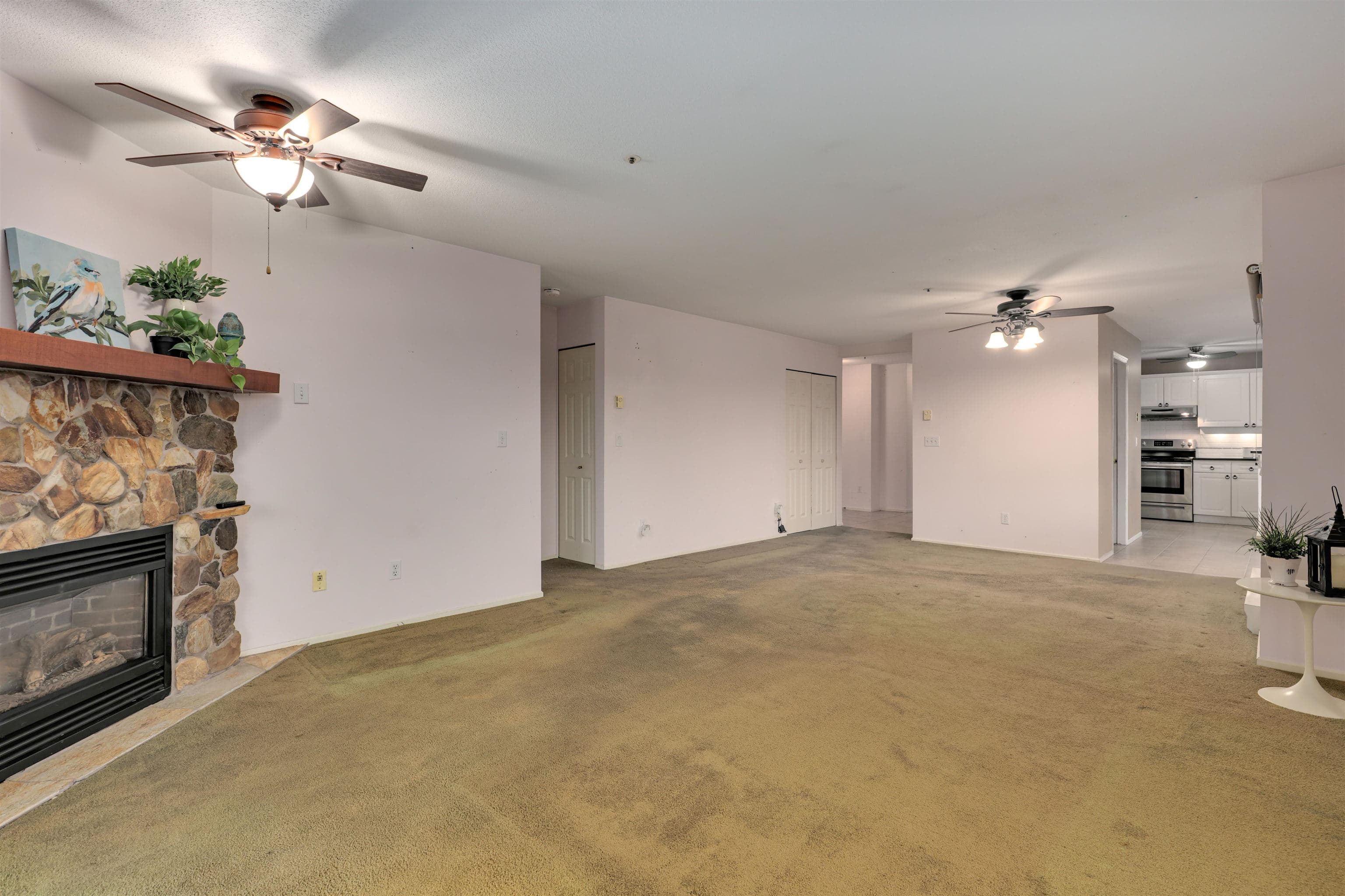 313 - 5556 201a Street, Langley, V3A 8K5 — photo 4