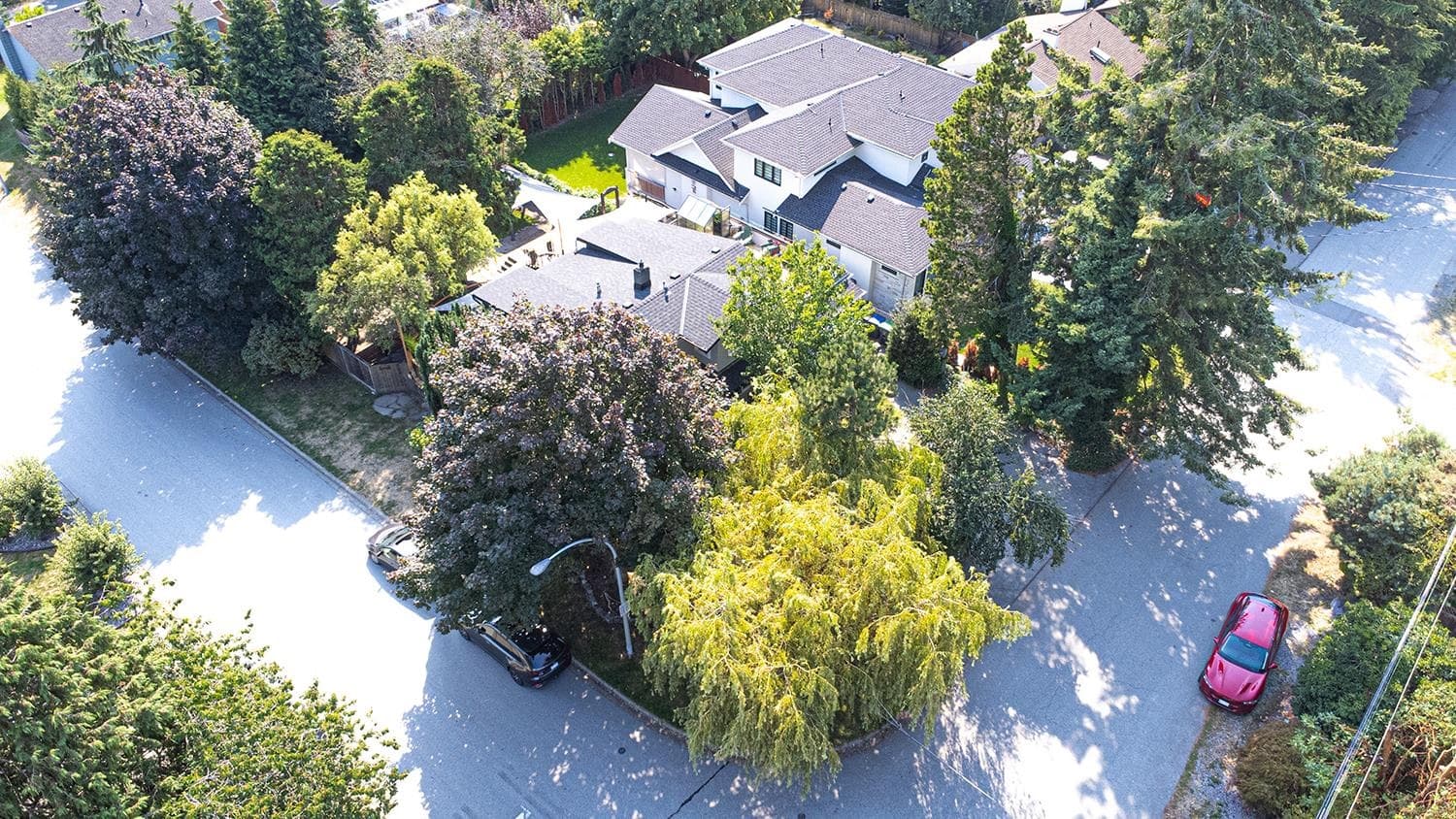 16124 9 Avenue, Surrey, V4A 1A6 — photo 2