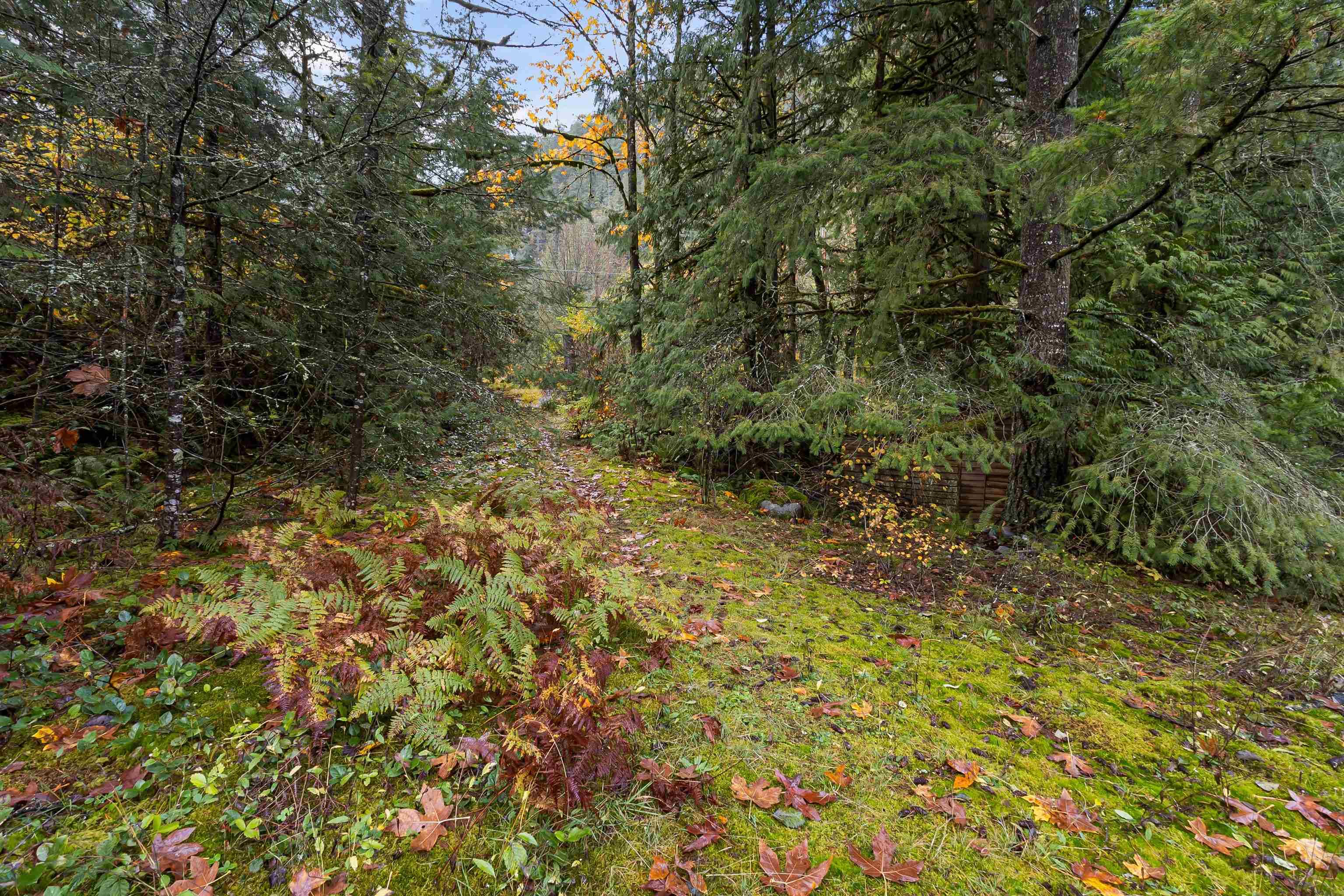 19602 Silver Skagit Road, Hope, V0X 1L2 — photo 3