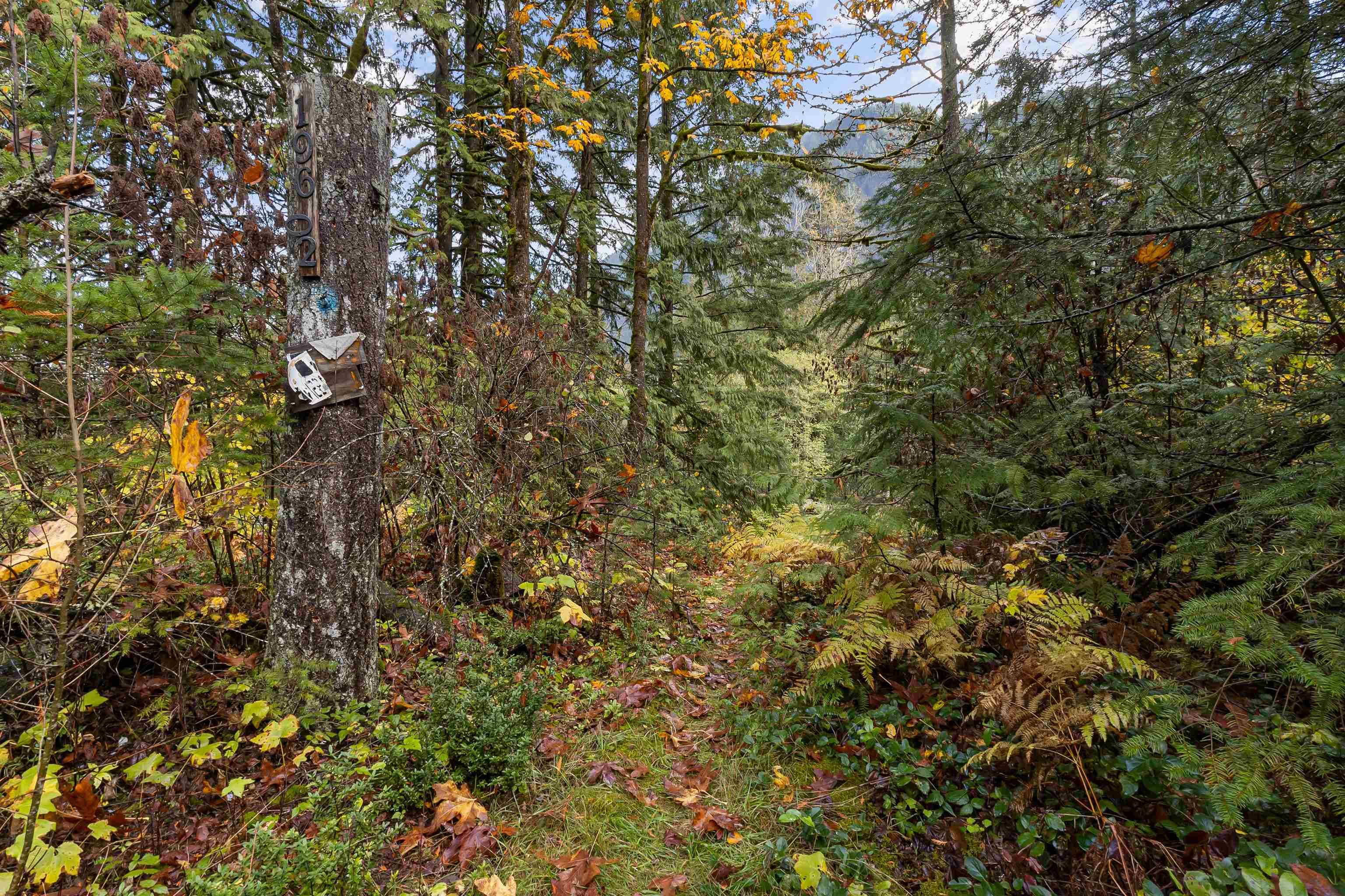 19602 Silver Skagit Road, Hope, V0X 1L2 — photo 4