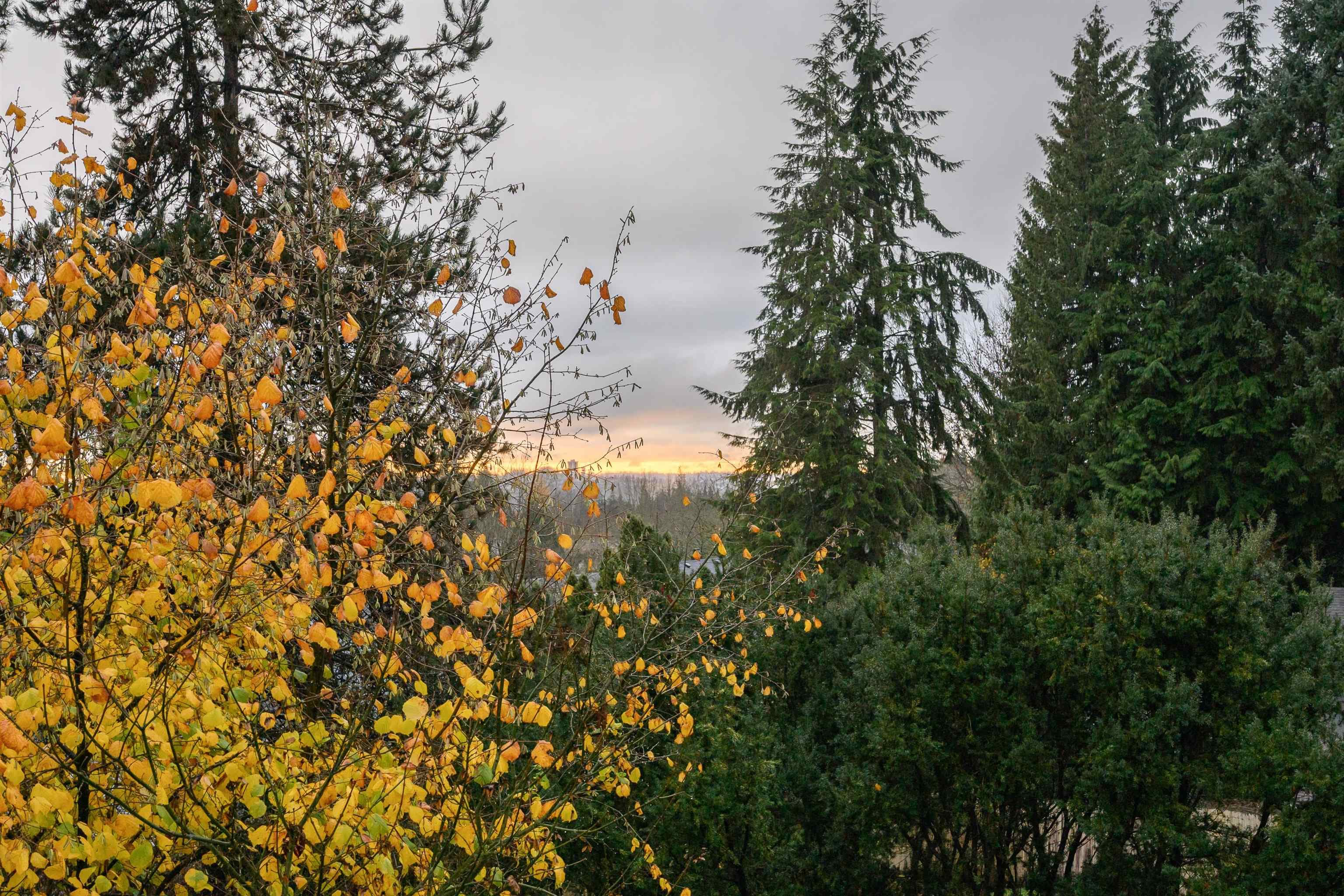514 - 1000 Bowron Court, North Vancouver, V7H 2W1 — photo 4