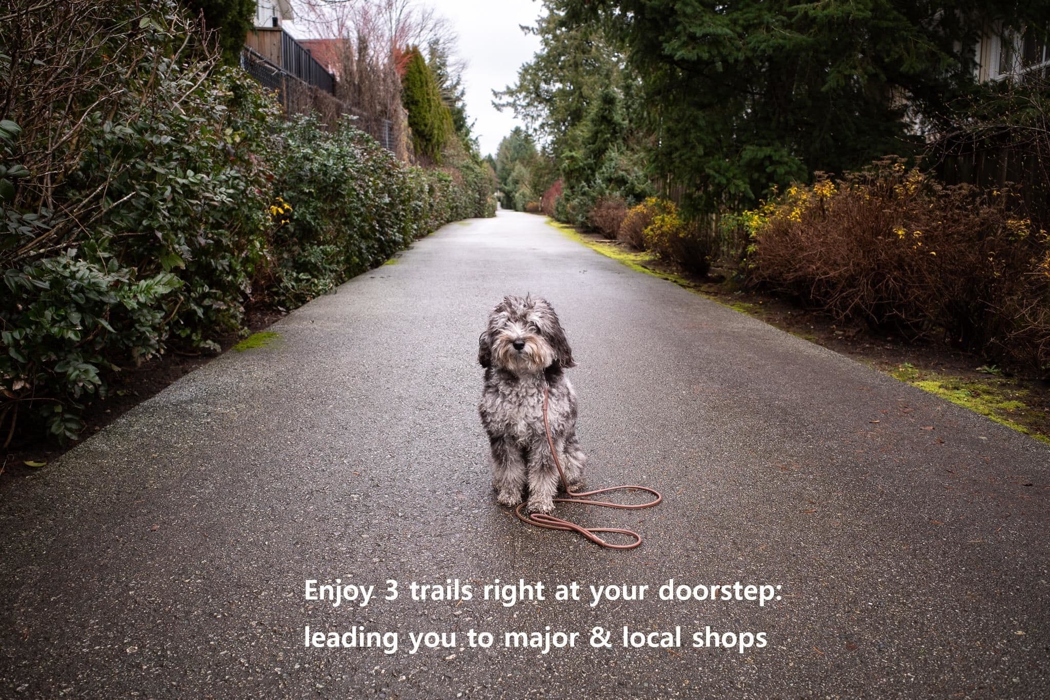 A200 - 20087 68 Avenue, Langley, V2Y 0Y2 — photo 1