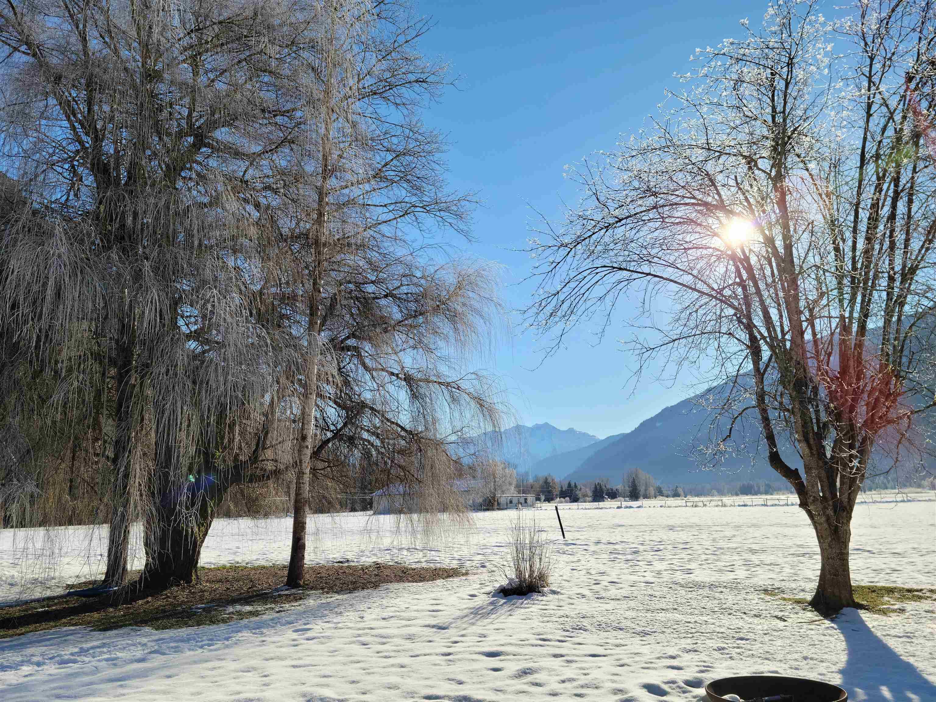 8687 Pemberton Meadows, Pemberton, V0N 2L2 — photo 5