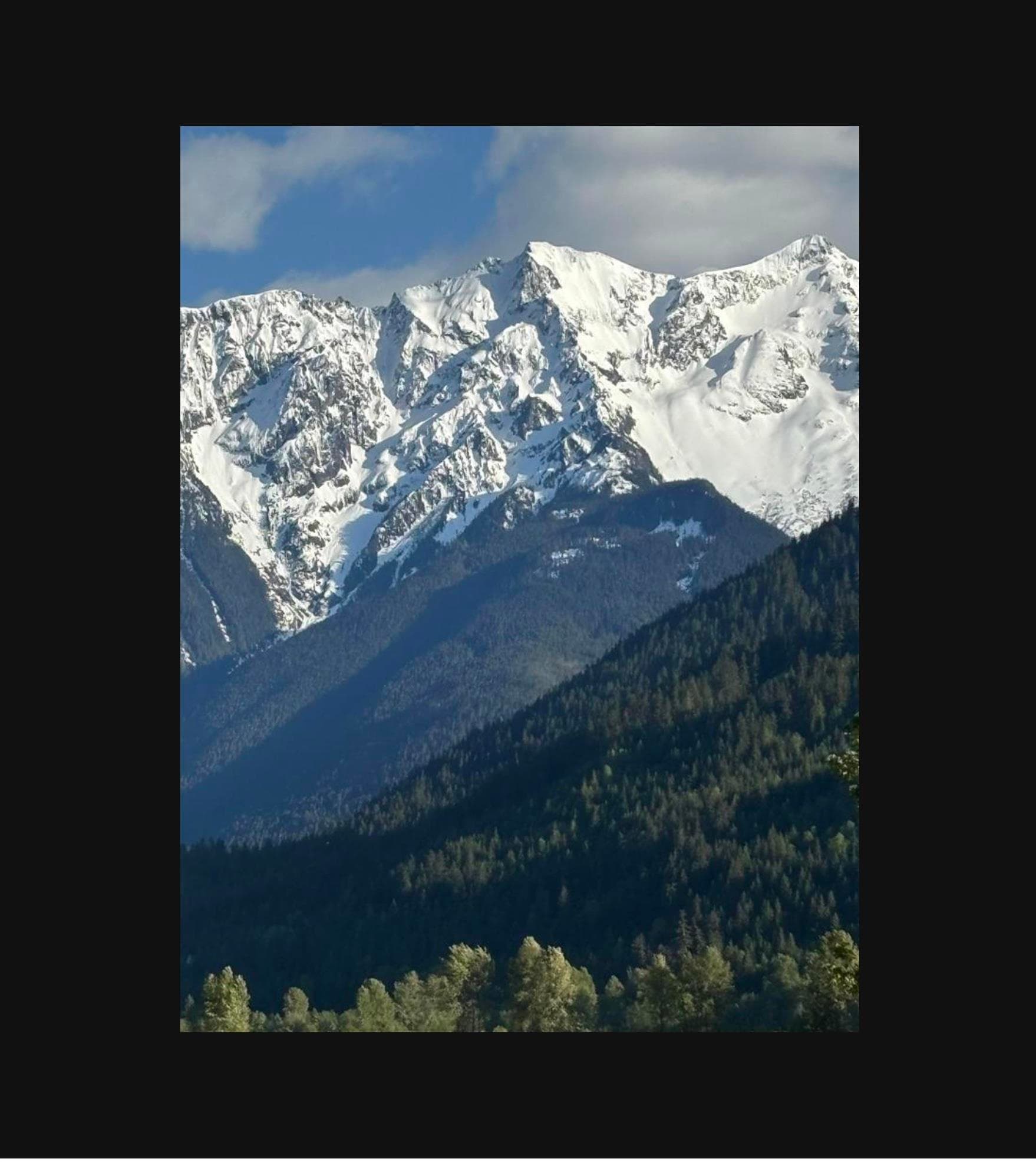 8687 Pemberton Meadows, Pemberton, V0N 2L2 — photo 4