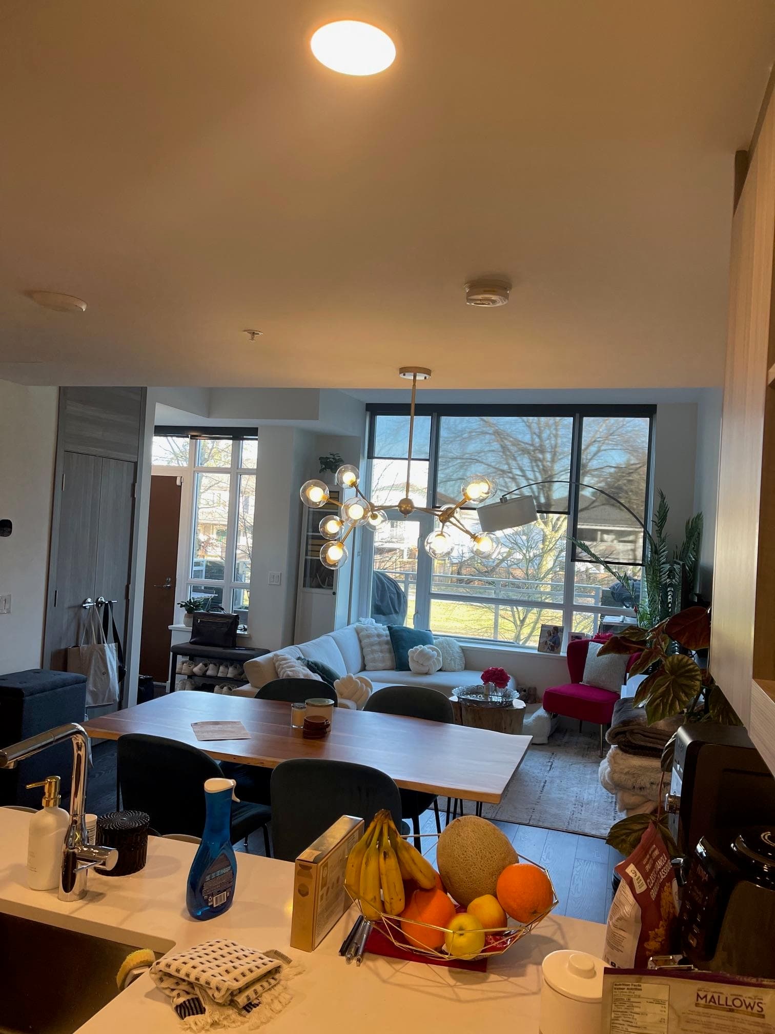 201 - 3300 Ketcheson Road, Richmond, V6X 0S5 — photo 4