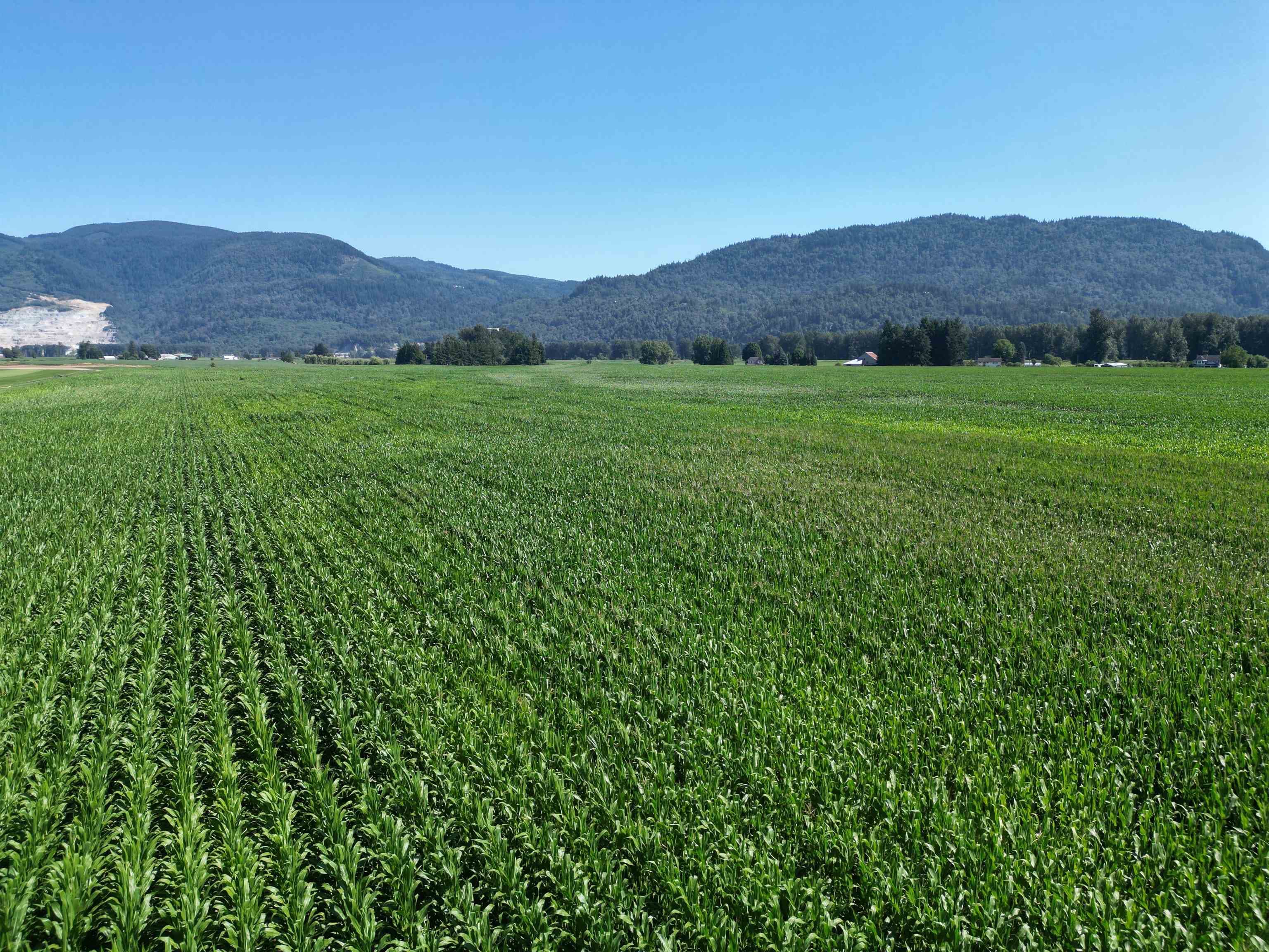 49AC Hyde Buker Road, Mission, V0M 1H0 — photo 5