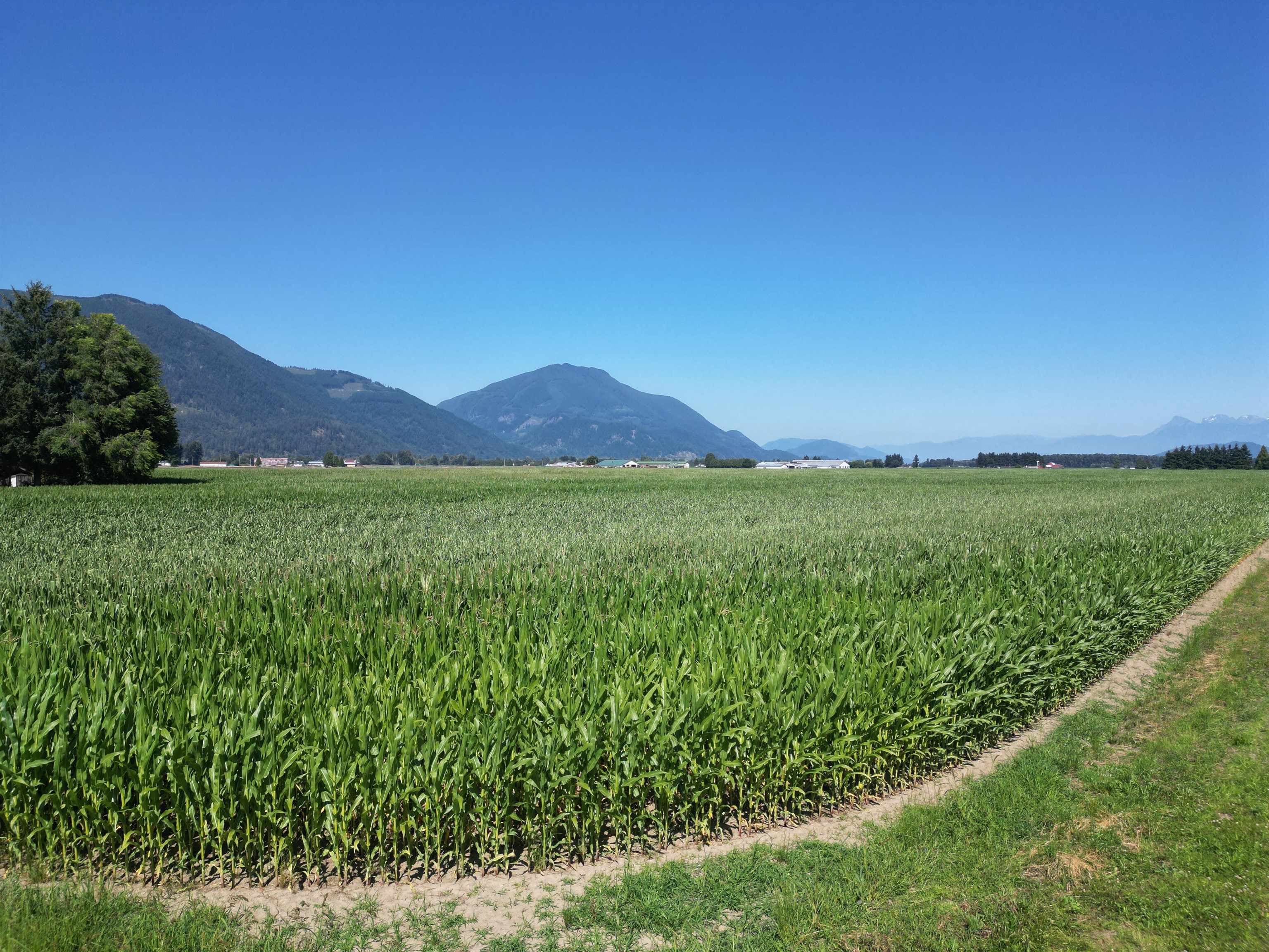 49AC Hyde Buker Road, Mission, V0M 1H0 — photo 4