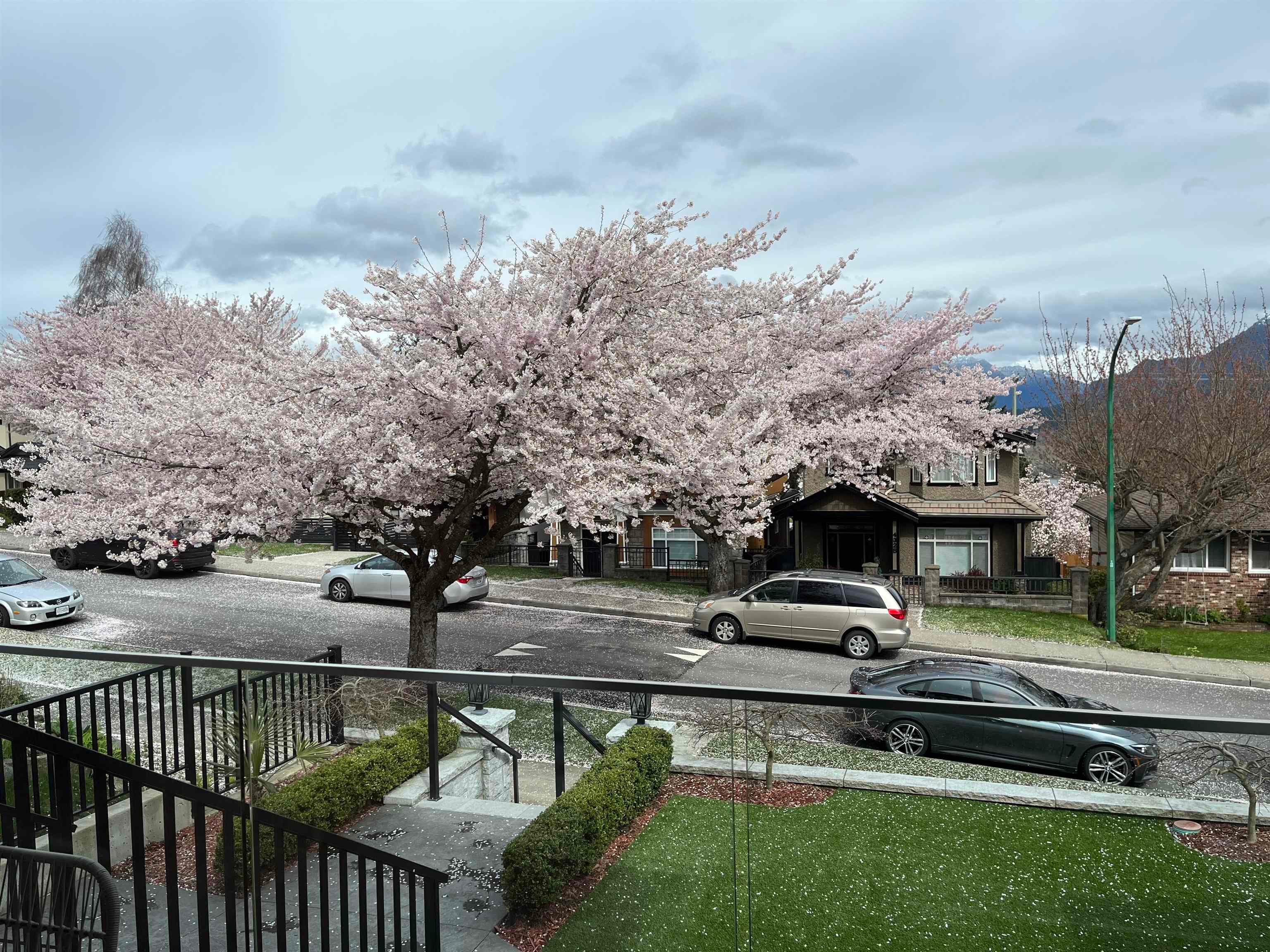 4326 Cambridge Street, Burnaby, V5C 1H4 — photo 2