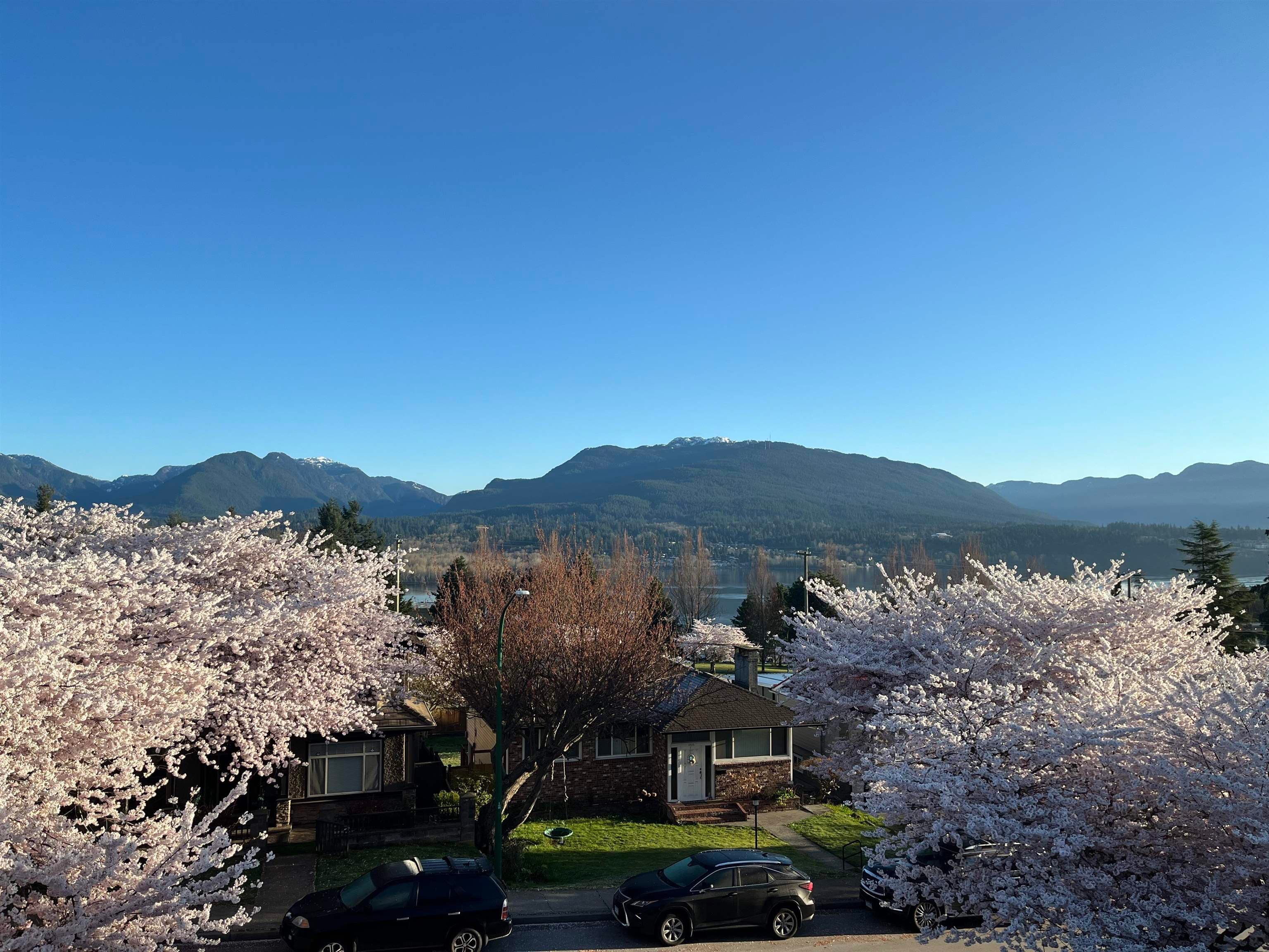 4326 Cambridge Street, Burnaby, V5C 1H4 — photo 3
