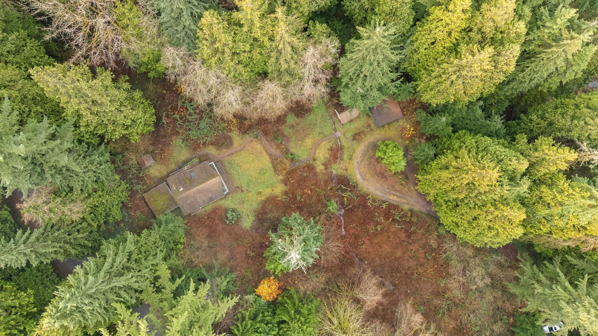 4520 Lynn Valley Road, North Vancouver, V7K 2T5 — photo 3