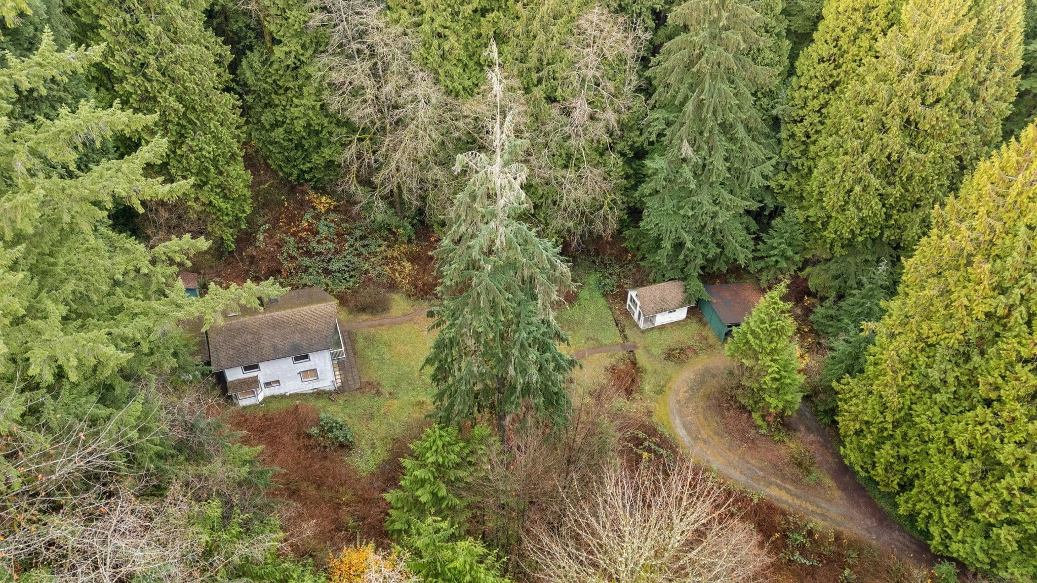 4520 Lynn Valley Road, North Vancouver, V7K 2T5 — photo 5