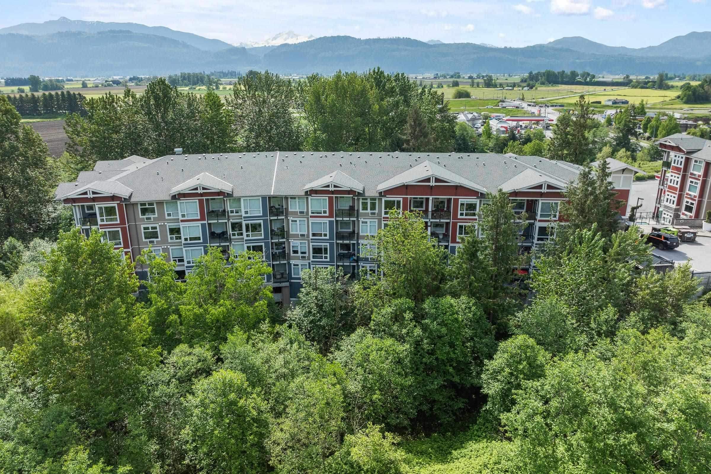 209 - 2238 Whatcom Road, Abbotsford, V3G 0E6 — photo 1