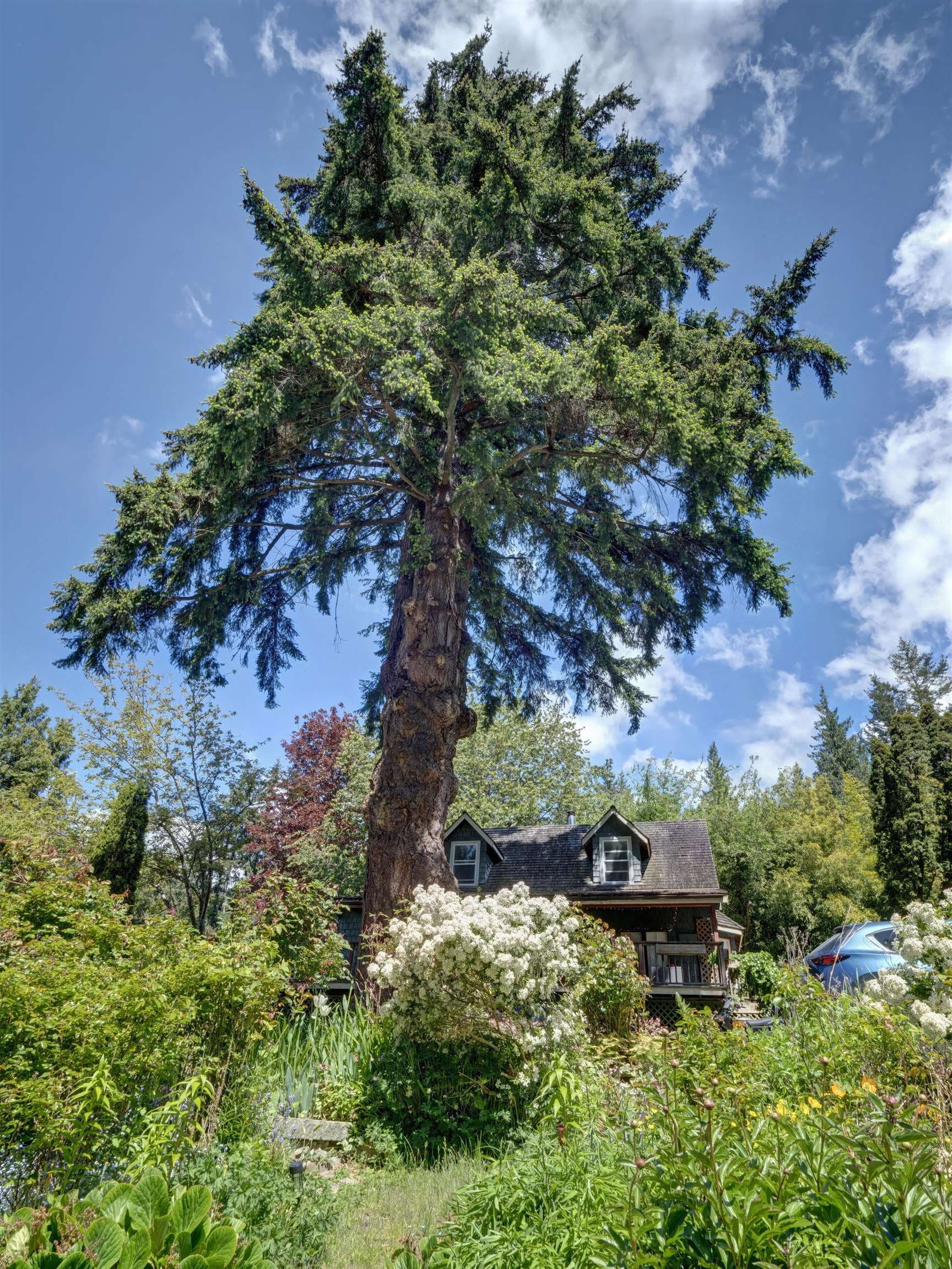 2602 Lower Road, Roberts Creek, V0N 2W4 — photo 1