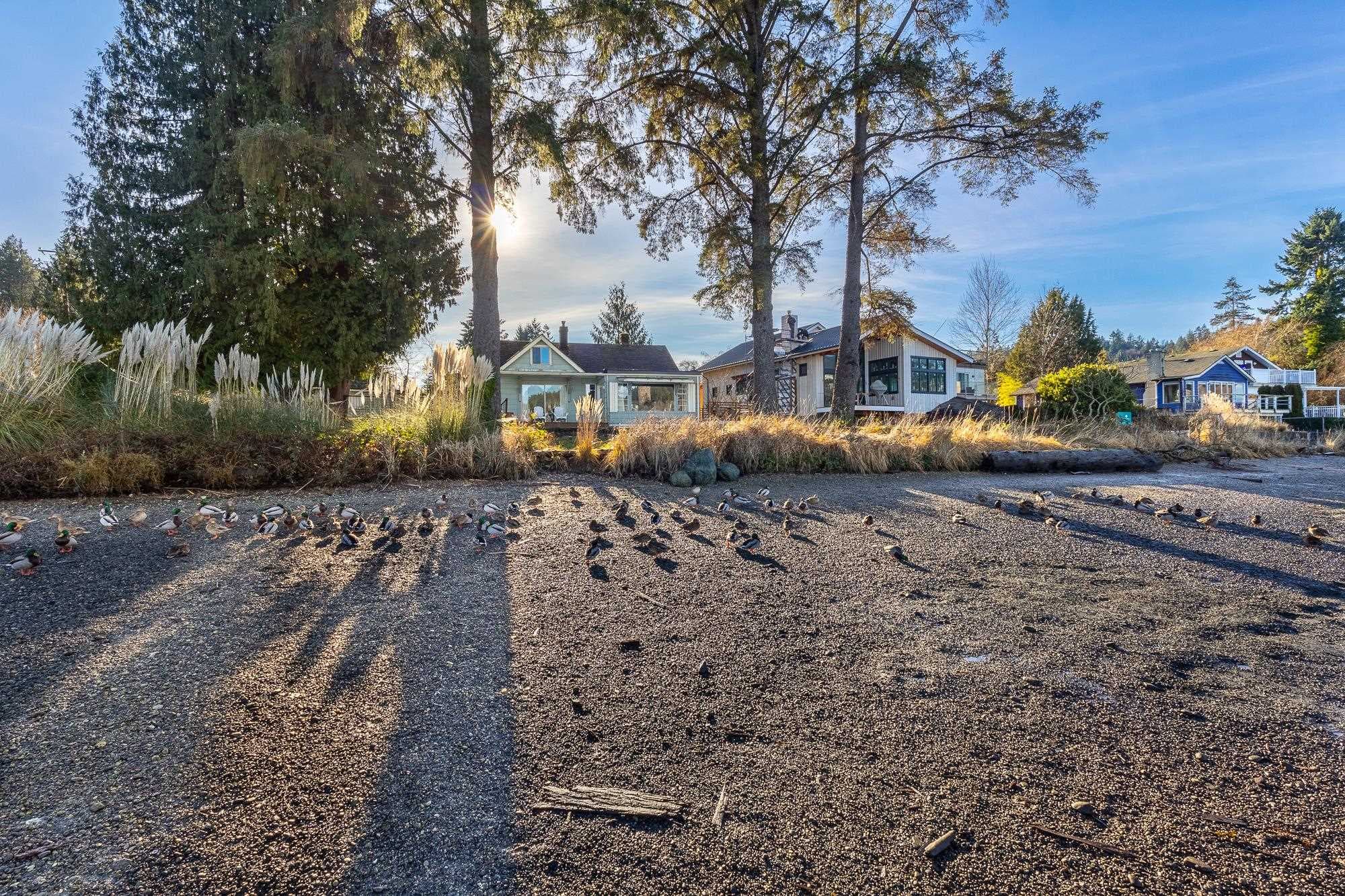 636 Bay Road, Gibsons, V0N 1V8 — photo 5