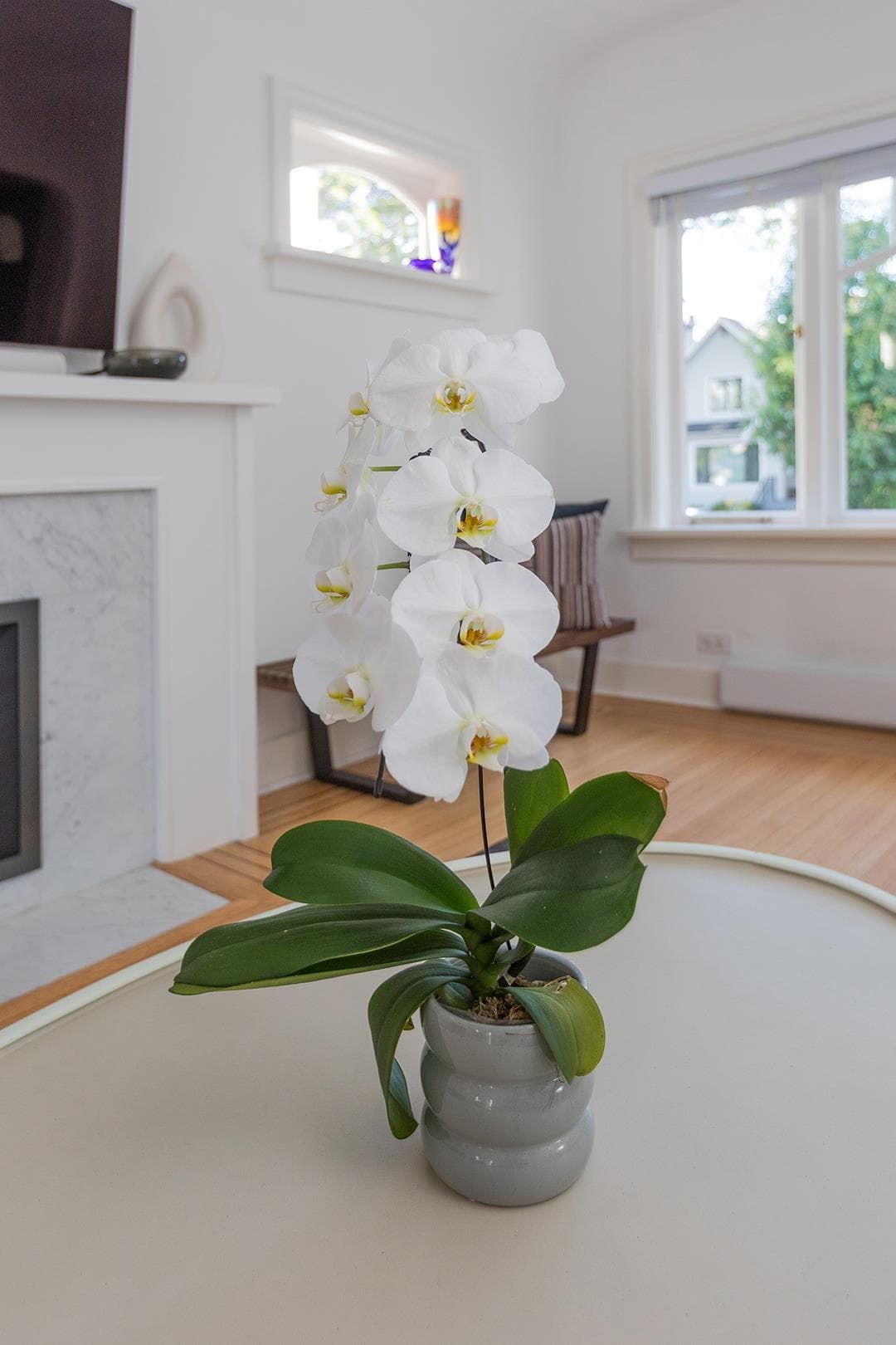 3340 W 15th Avenue, Vancouver, V6R 2Y8 — photo 5