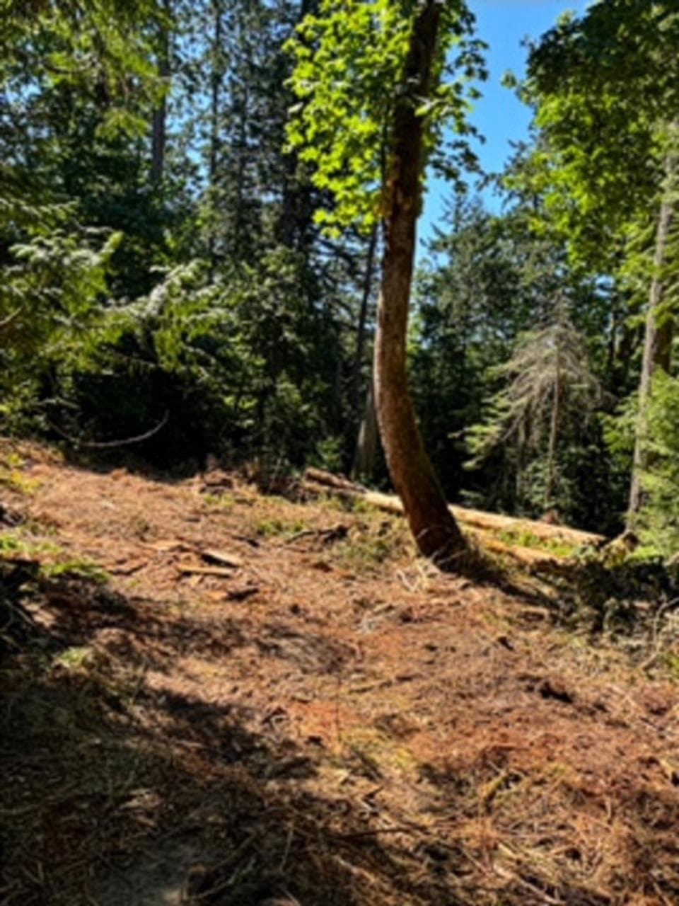 LOT 2 Churchill Road, Salt Spring Island, V8K 2R3 — photo 2