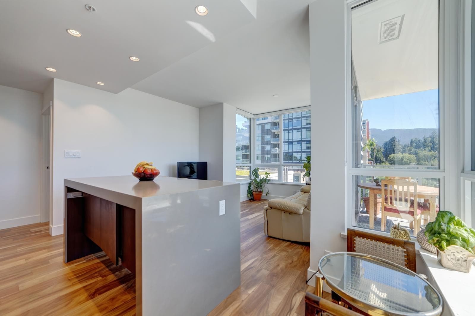 301 - 1675 Lions Gate Lane, North Vancouver, V7P 3B4 — photo 4