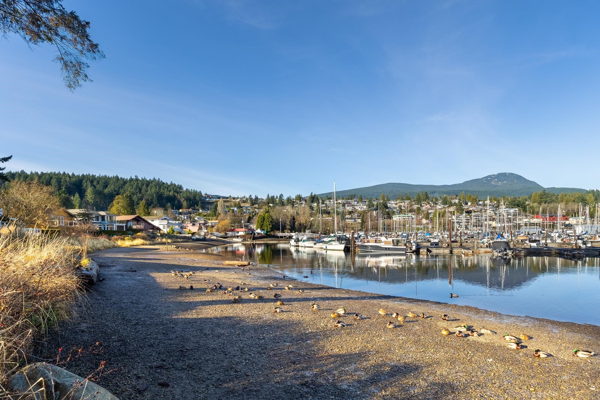 636 Bay Road, Gibsons, V0N 1V8 — photo 3