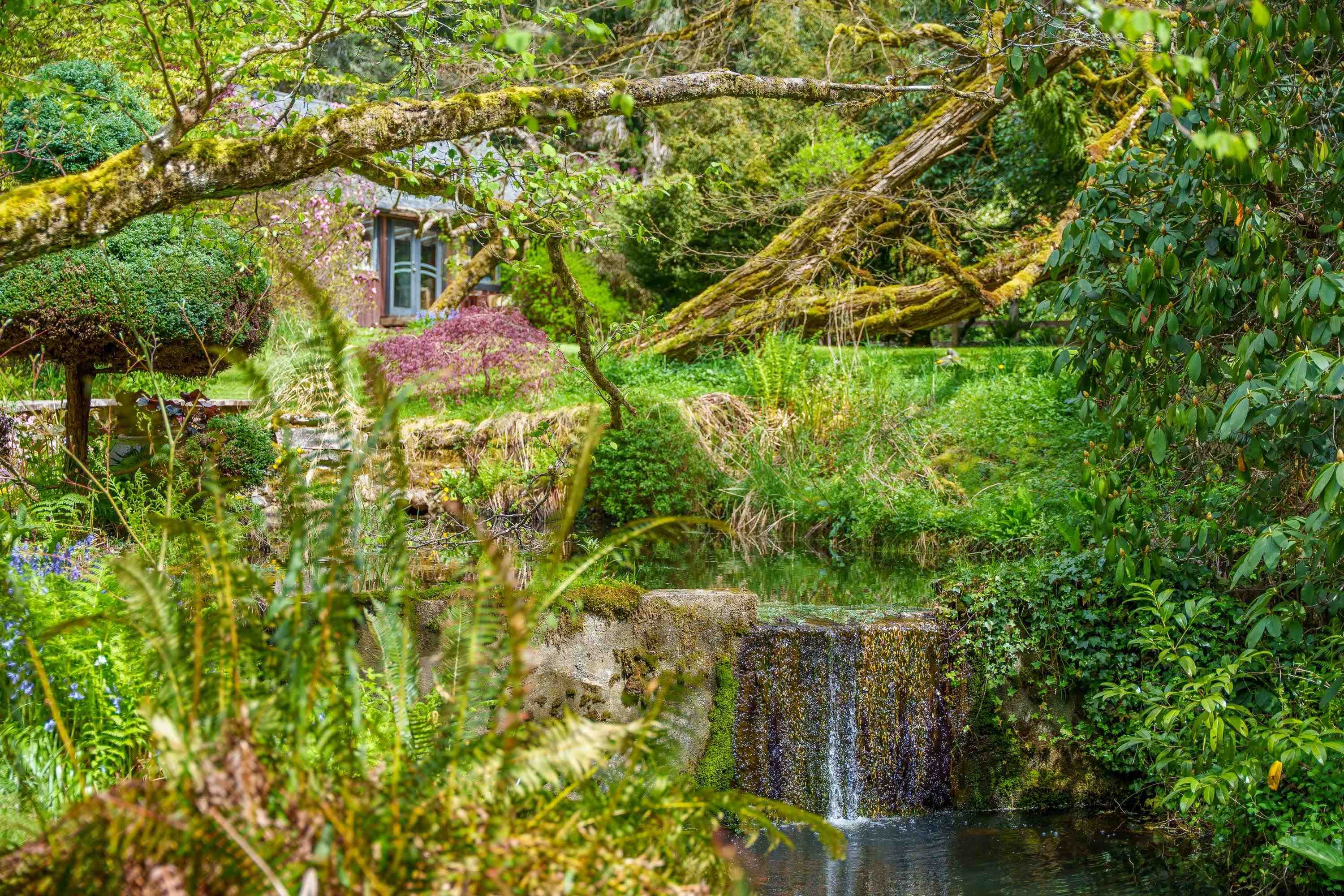 1531 Lockyer Road, Roberts Creek, V0N 2W1 — photo 4