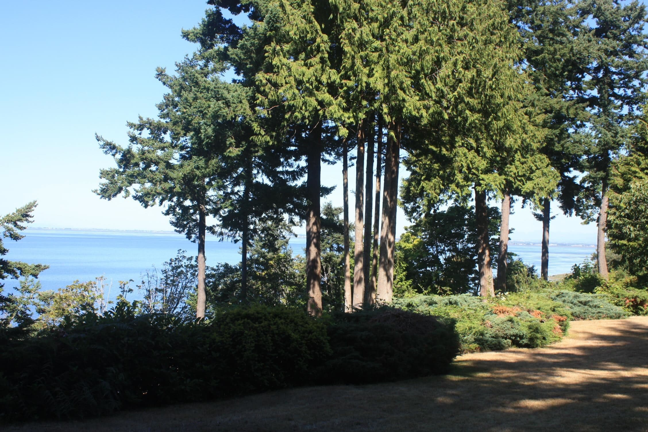12581 16 Avenue, Surrey, V4A 1M7 — photo 5