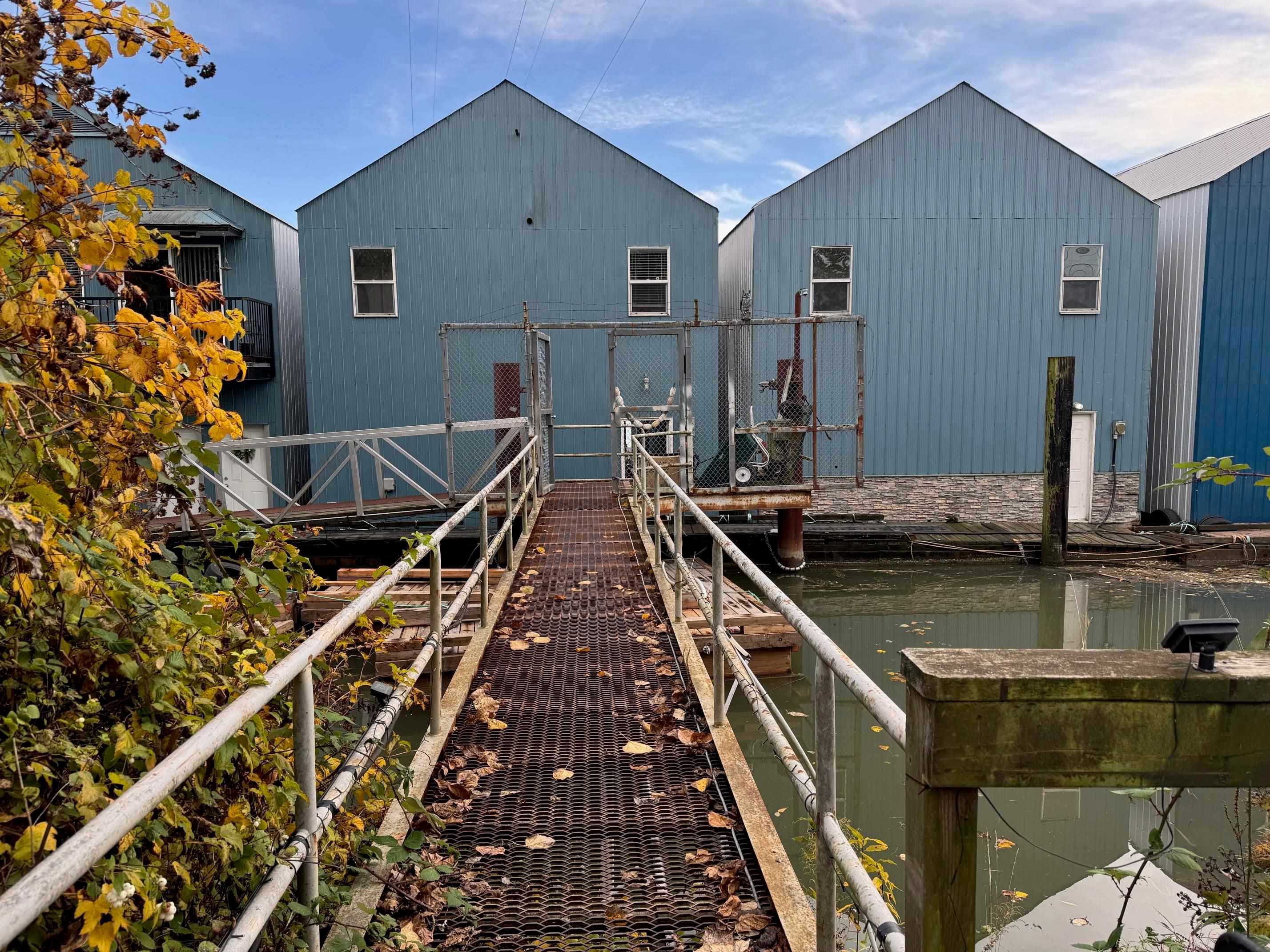 1 - 23226 Dyke Road, Richmond