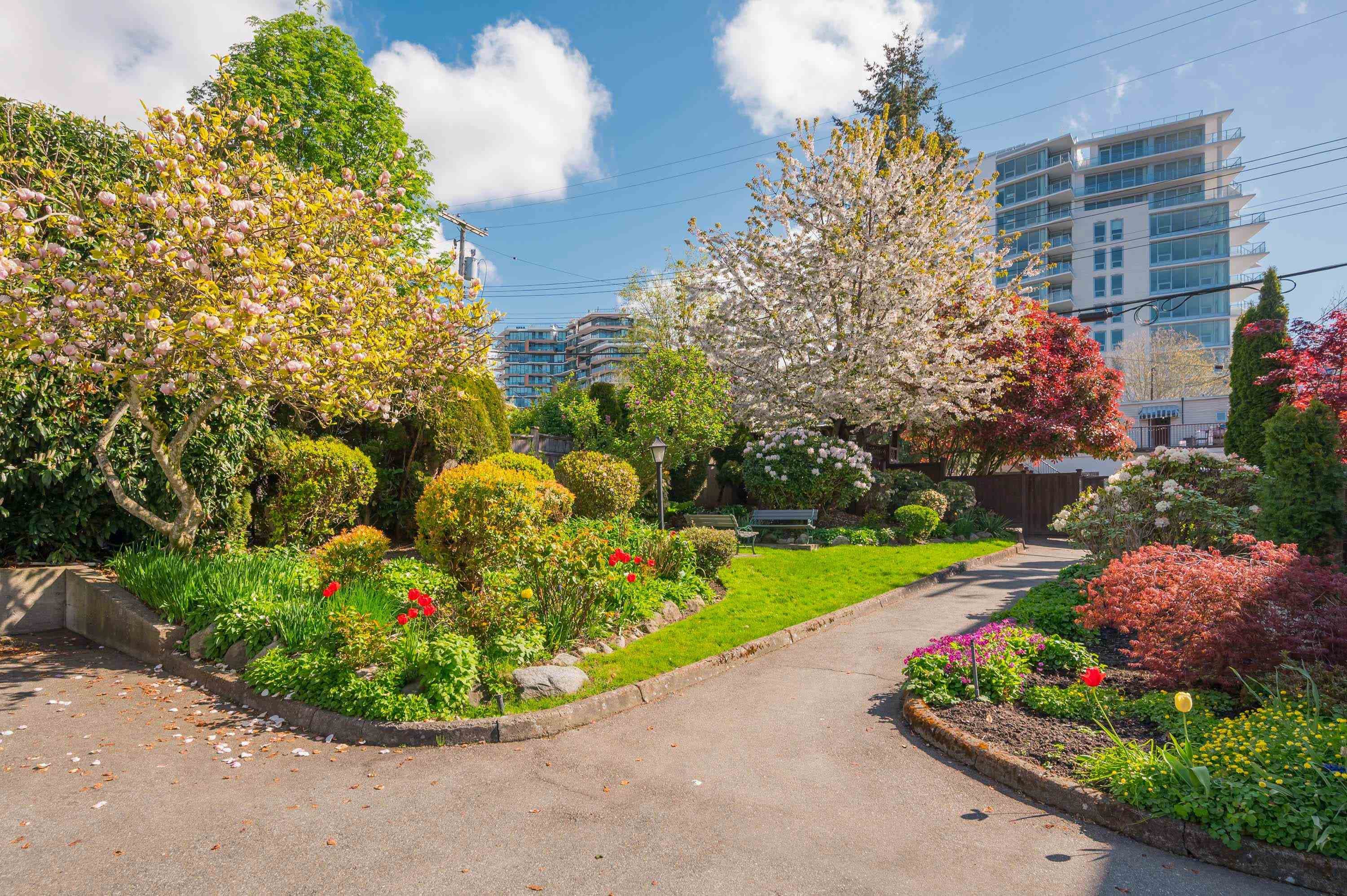 210 - 1354 Winter Street, White Rock, V4B 3Y1 — photo 4