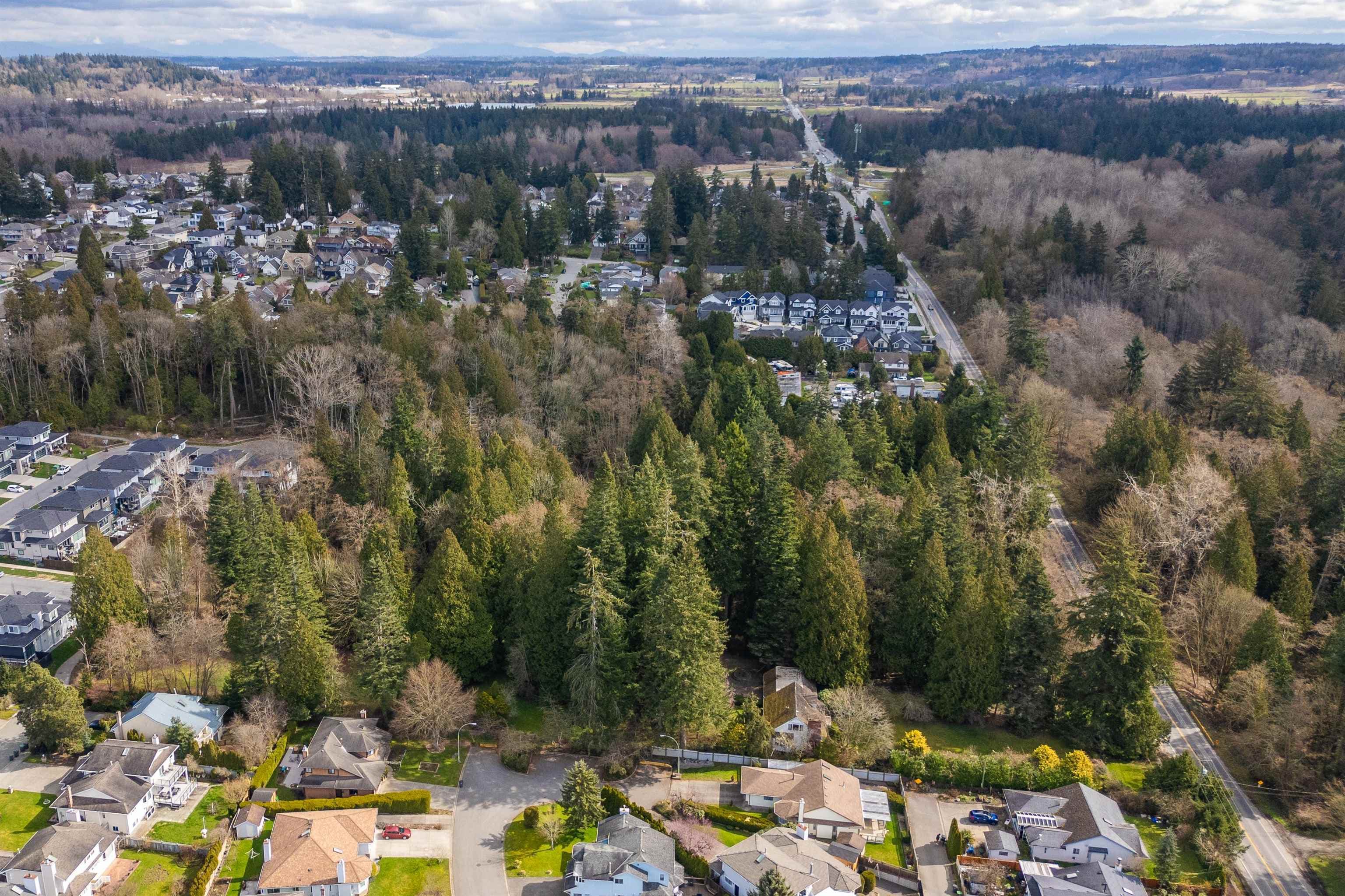 16203 8 Avenue, Surrey, V4A 1A3 — photo 3