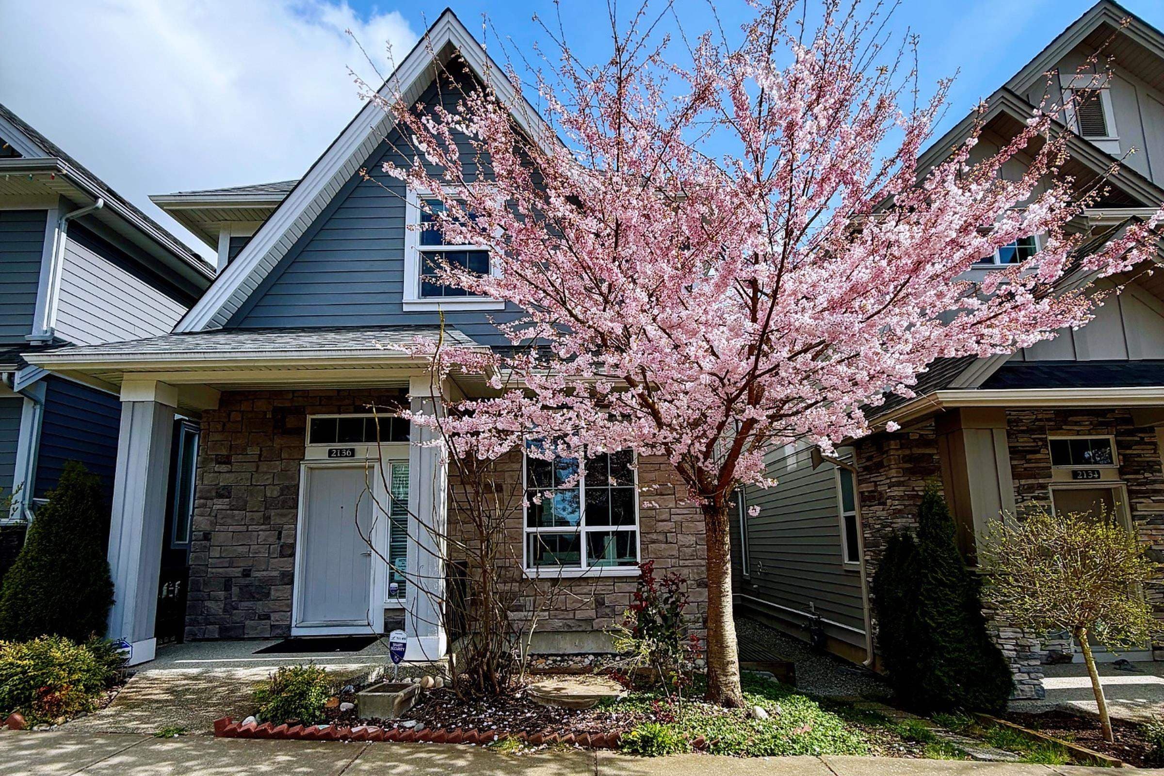 2136 165b Street, Surrey, V3Z 0V6 — photo 1